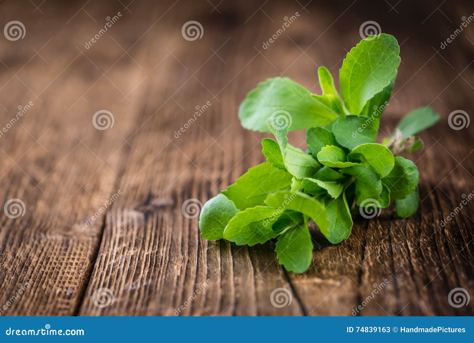 wooden table with stevia leaves (selective focus)