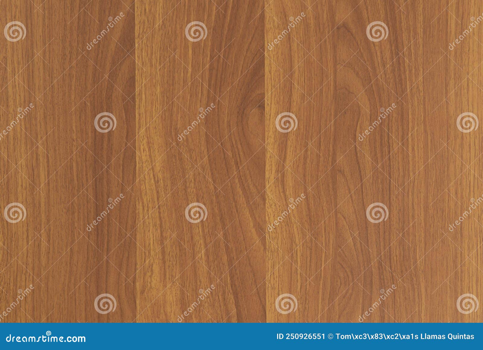 Wooden Table Top View from Above, Vector Wooden Stock Illustration