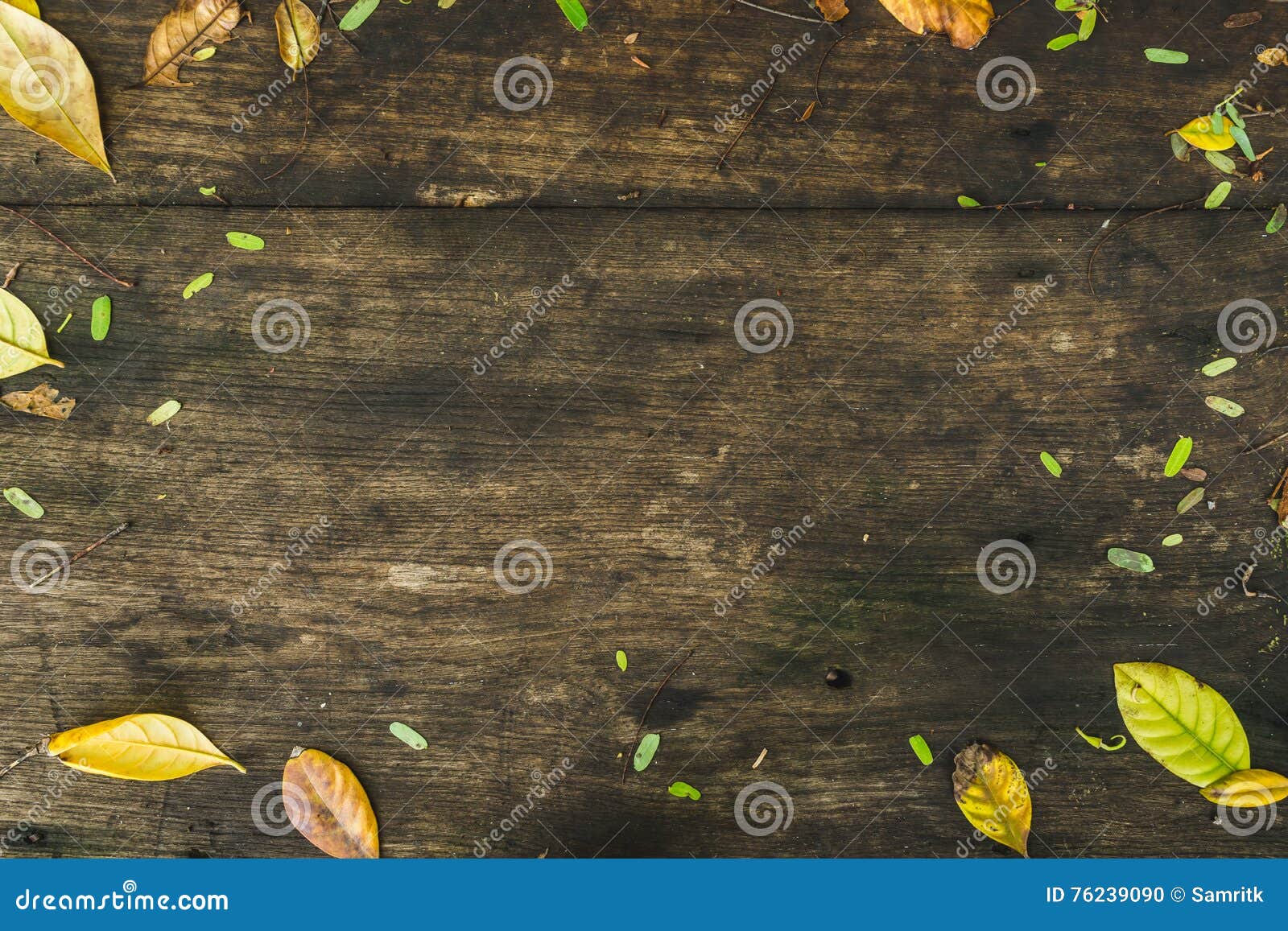 Wooden Texture Background with Leaves Frame Stock Photo Image of wood