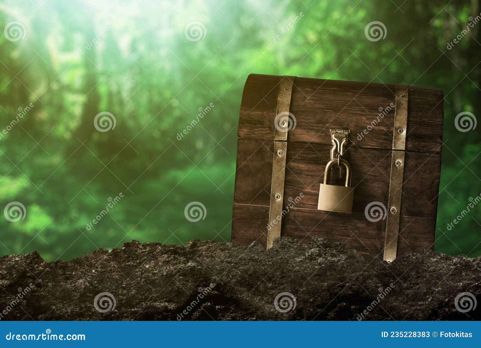 Wooden Treasure Chest in the Forest Stock Image Image of coin