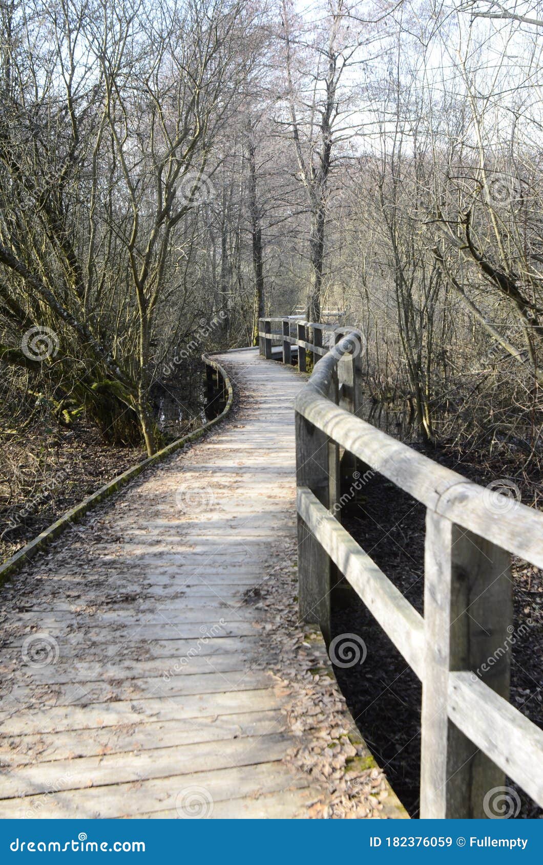 Wooden Walkway Across the Marshes Stock Image Image of wood, marshes
