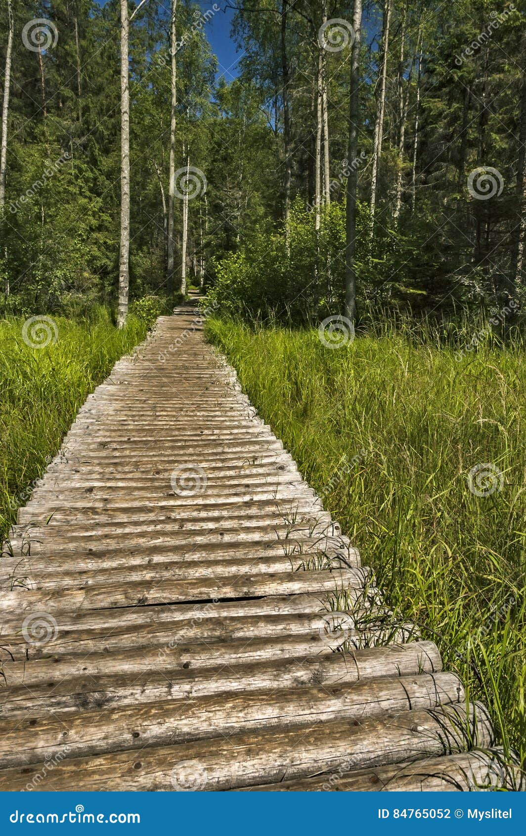 A Wooden Walkway Stock Photo Image Of Leaf Outdoor 84765052