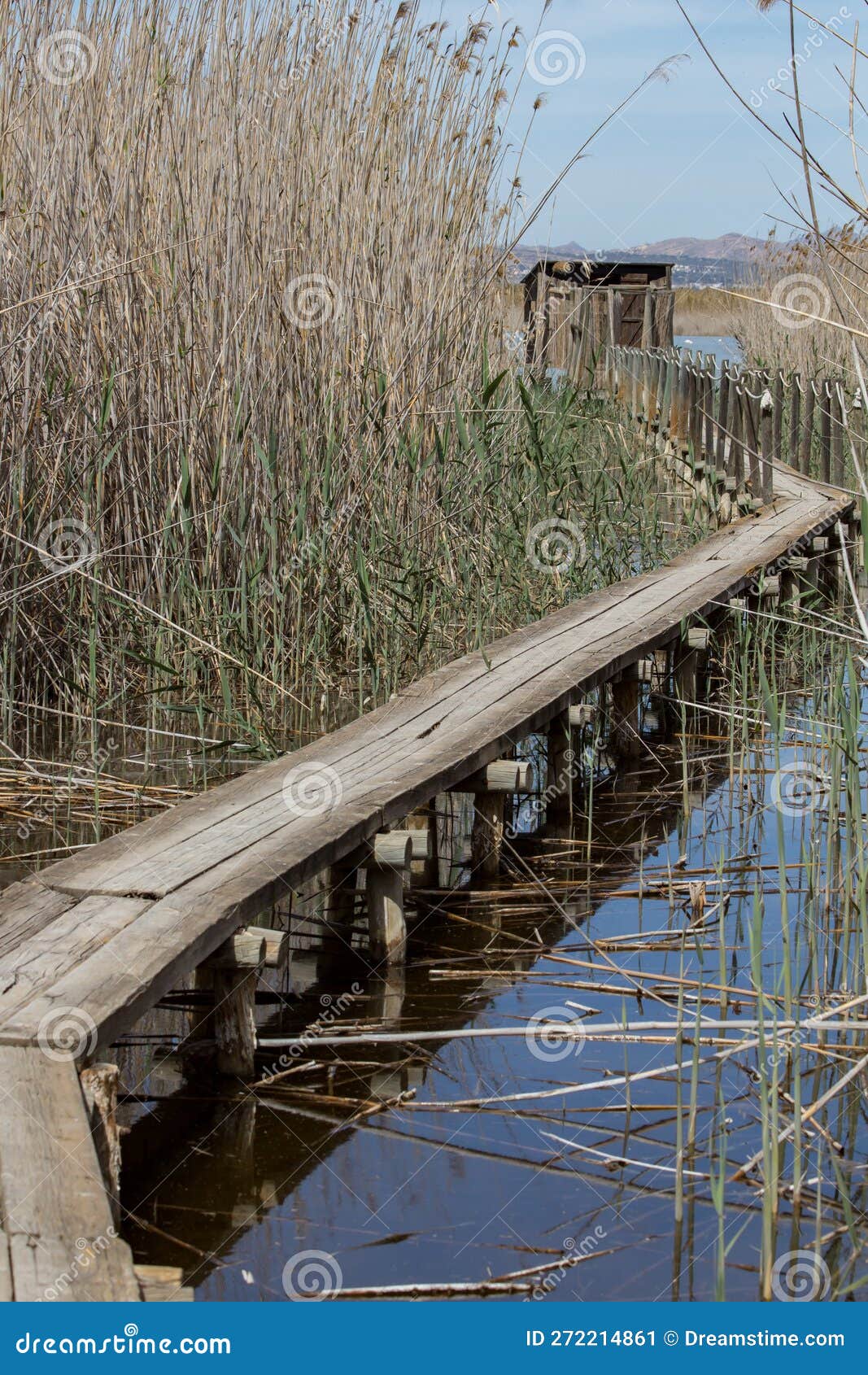 wooden walkway and waterfowl observatory