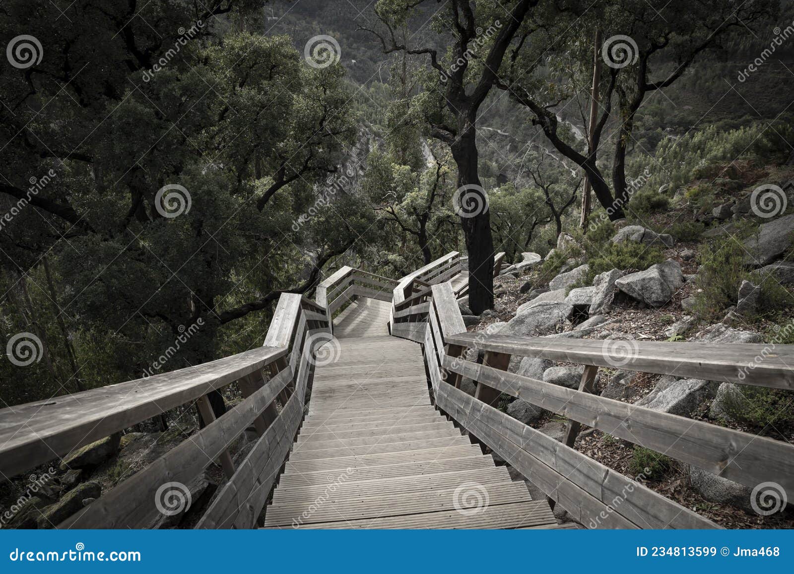 wooden walkways of paiva river at arouca geopark
