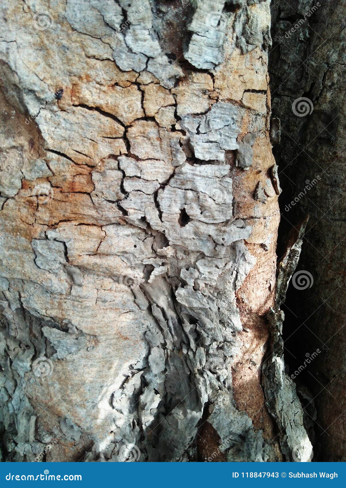 Woodenly Texture stock image. Image of wooden, closed 118847943
