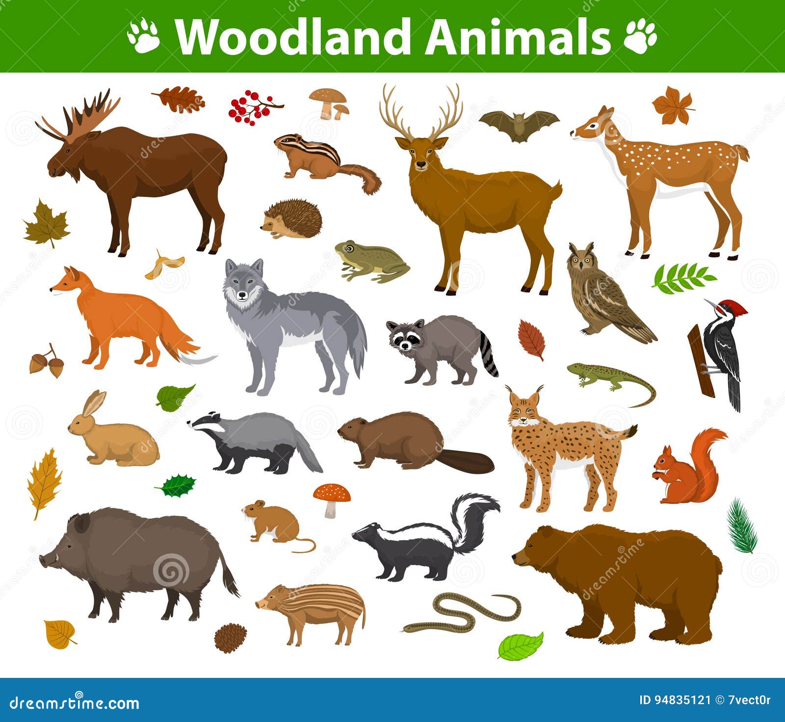 Forest Animals Stock Illustrations – 62,887 Forest Animals Stock  Illustrations, Vectors & Clipart - Dreamstime