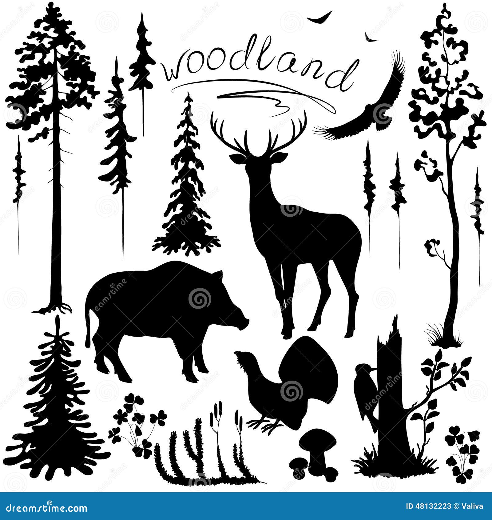 woodland plants and animals set