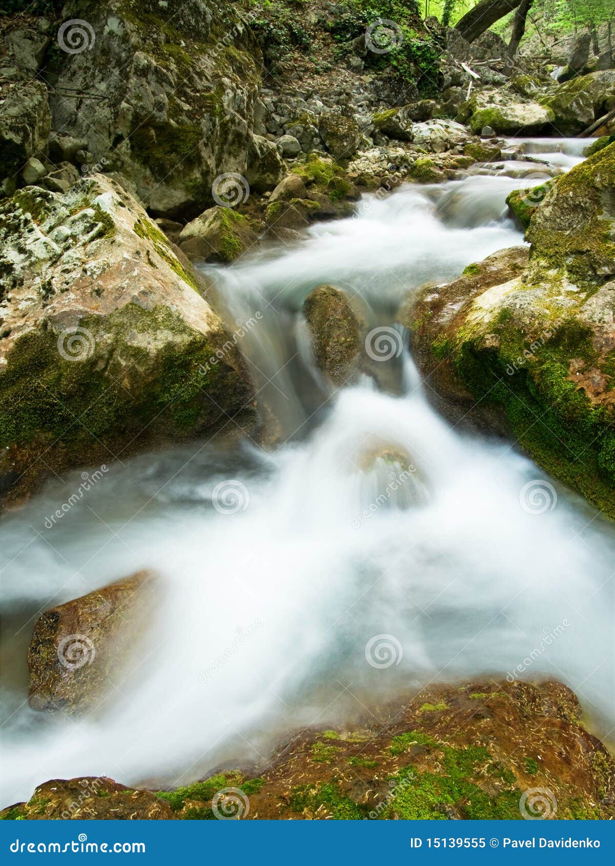 Woodland stream - Stock Image - C016/2344 - Science Photo Library