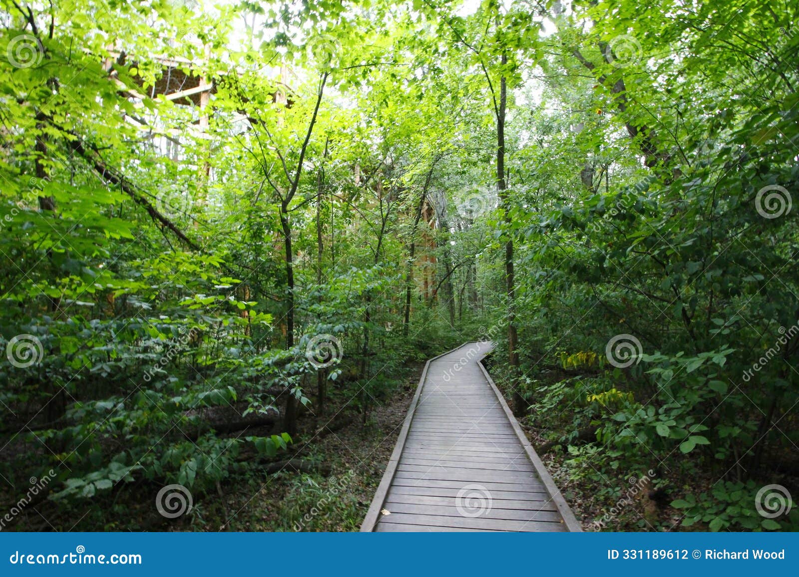 woodland trail, blacklick metro park, reynoldsburg, ohio