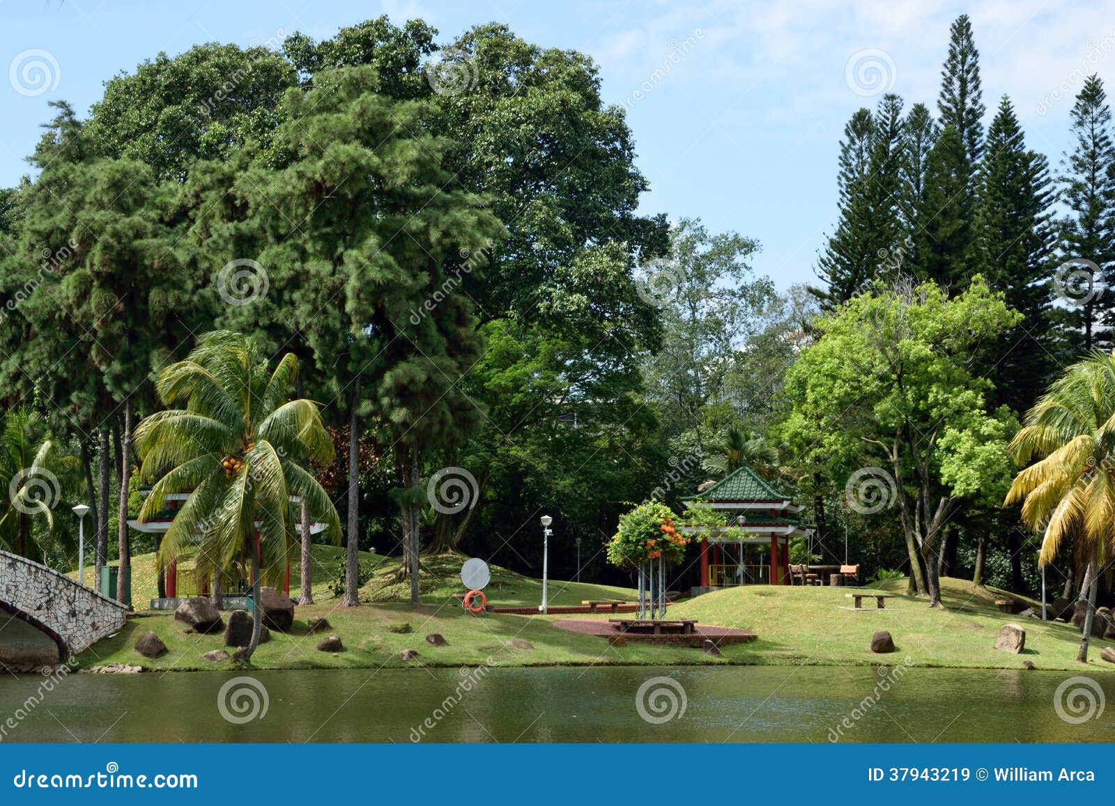 woodlands garden