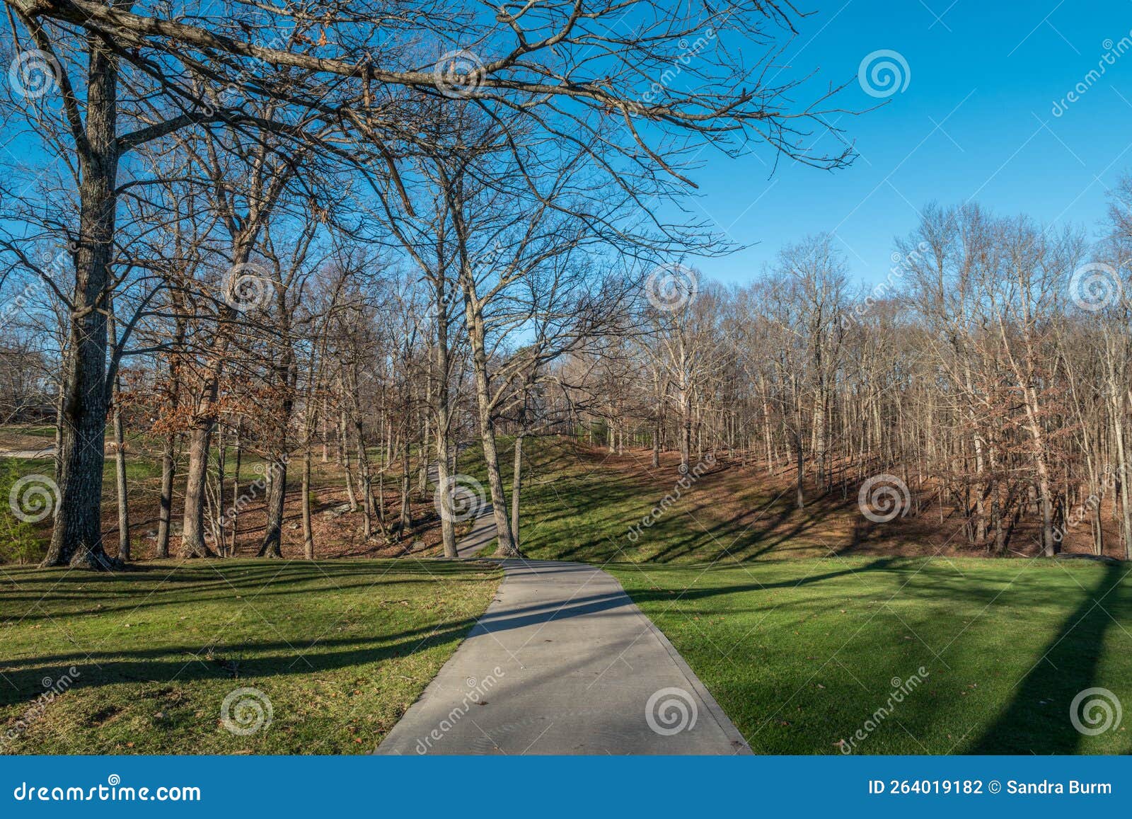Woodlands in the Golf Course Stock Photo Image of wintertime, serene
