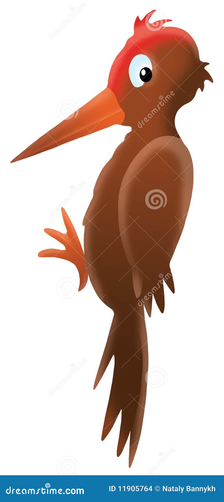 Woodpecker stock illustration. Illustration of clipart - 11905764