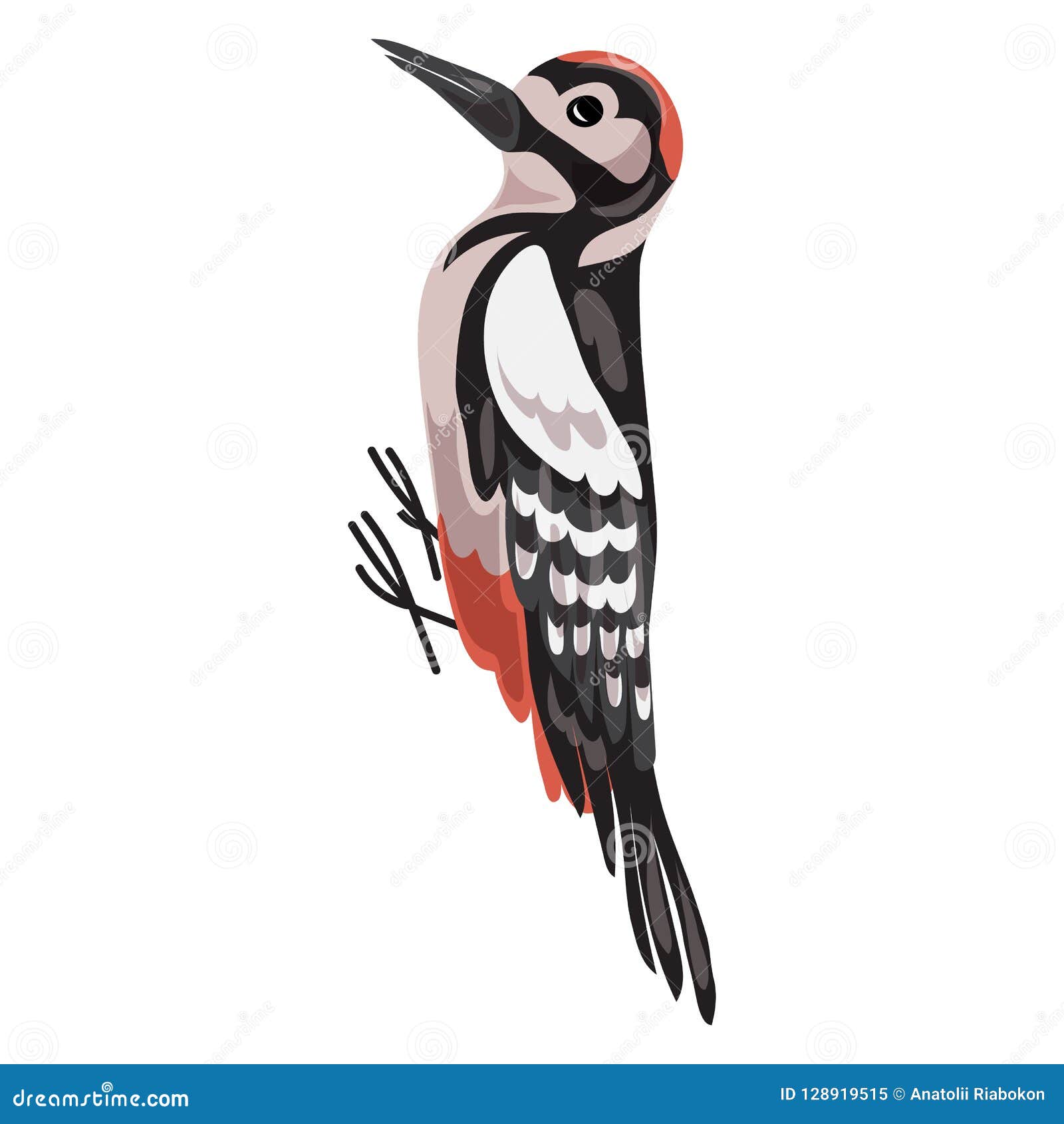 Woodpecker Icon, Cartoon Style Stock Vector - Illustration of black,  beautiful: 128919515