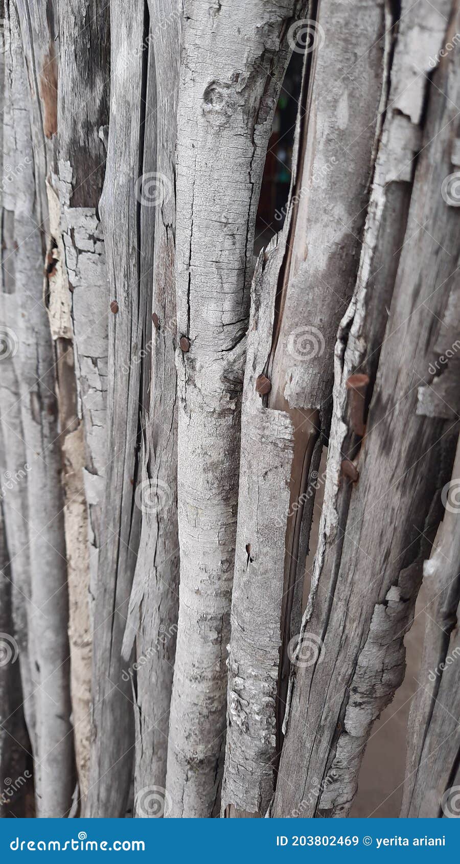 woods fence rustic pagar kayu