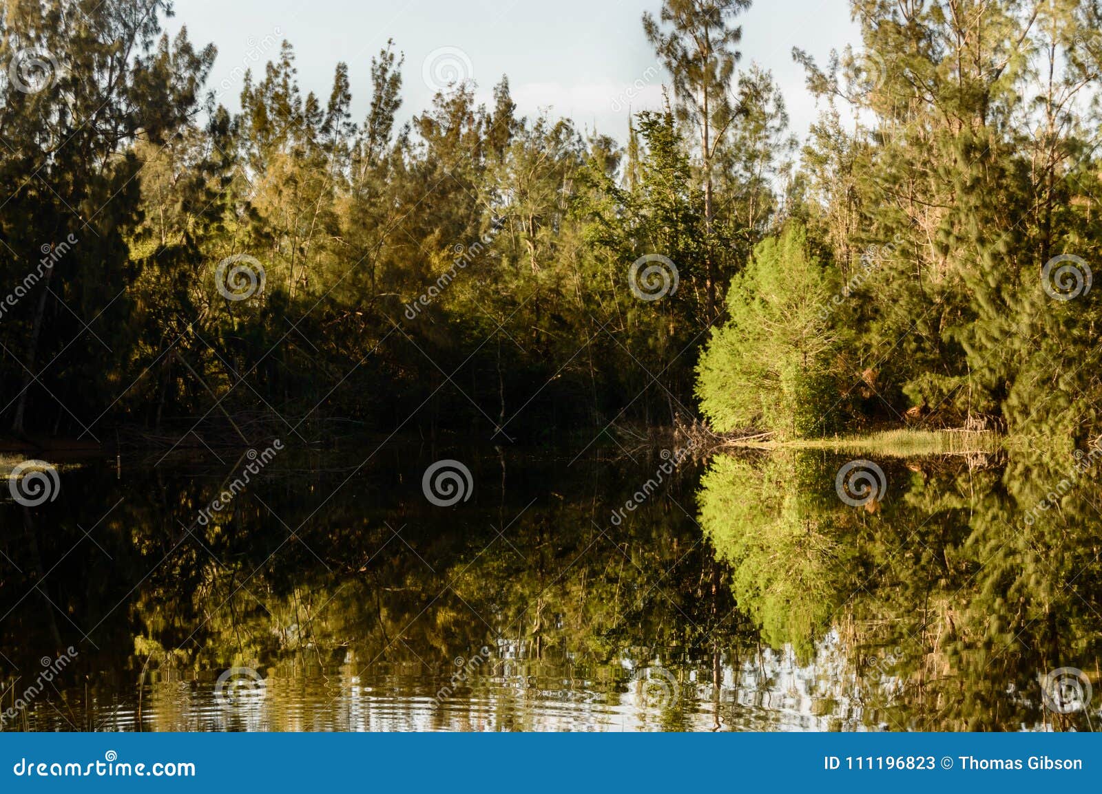 florida natural waterways