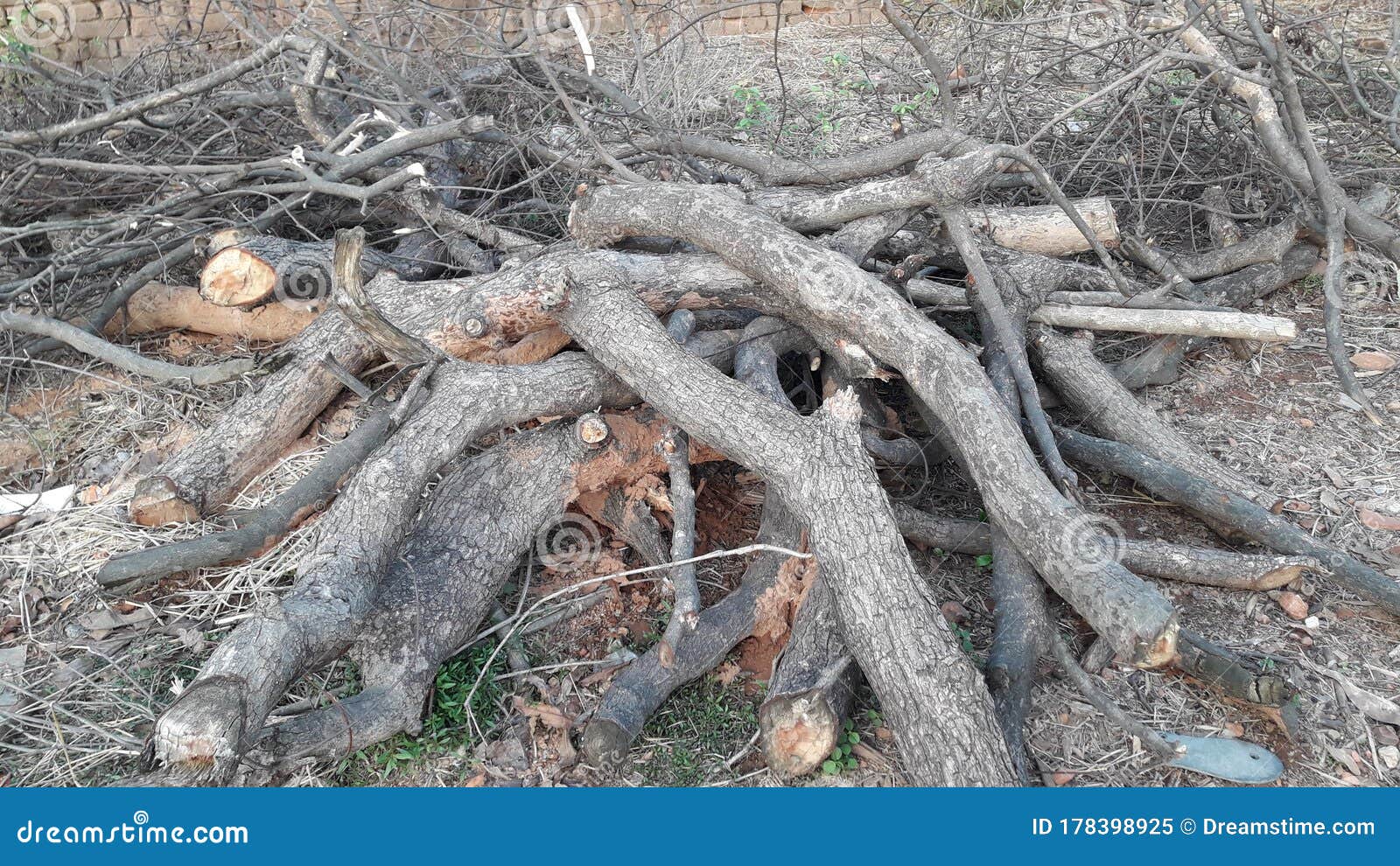 woods used for different types of things