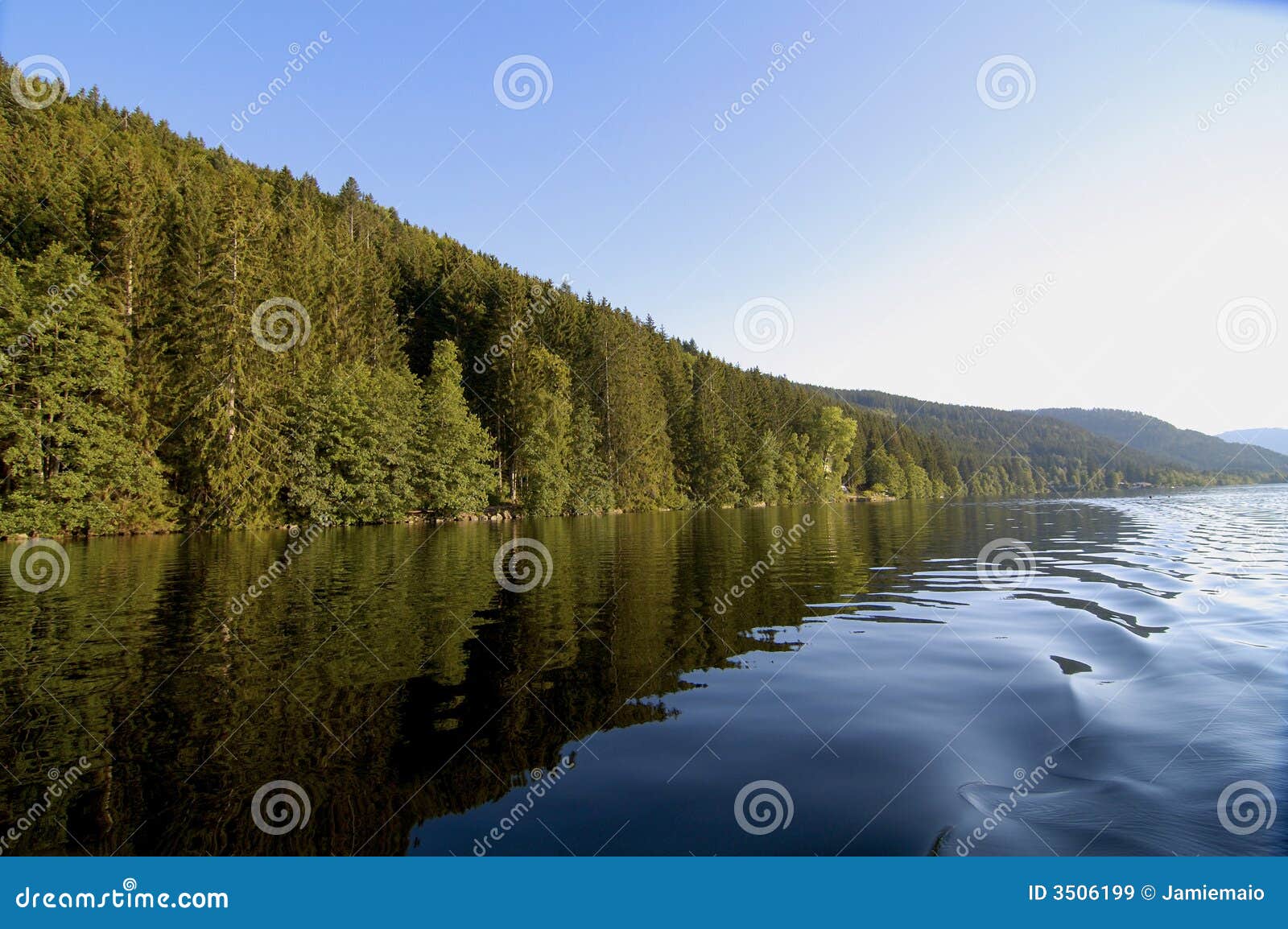 woods reflections in titisee