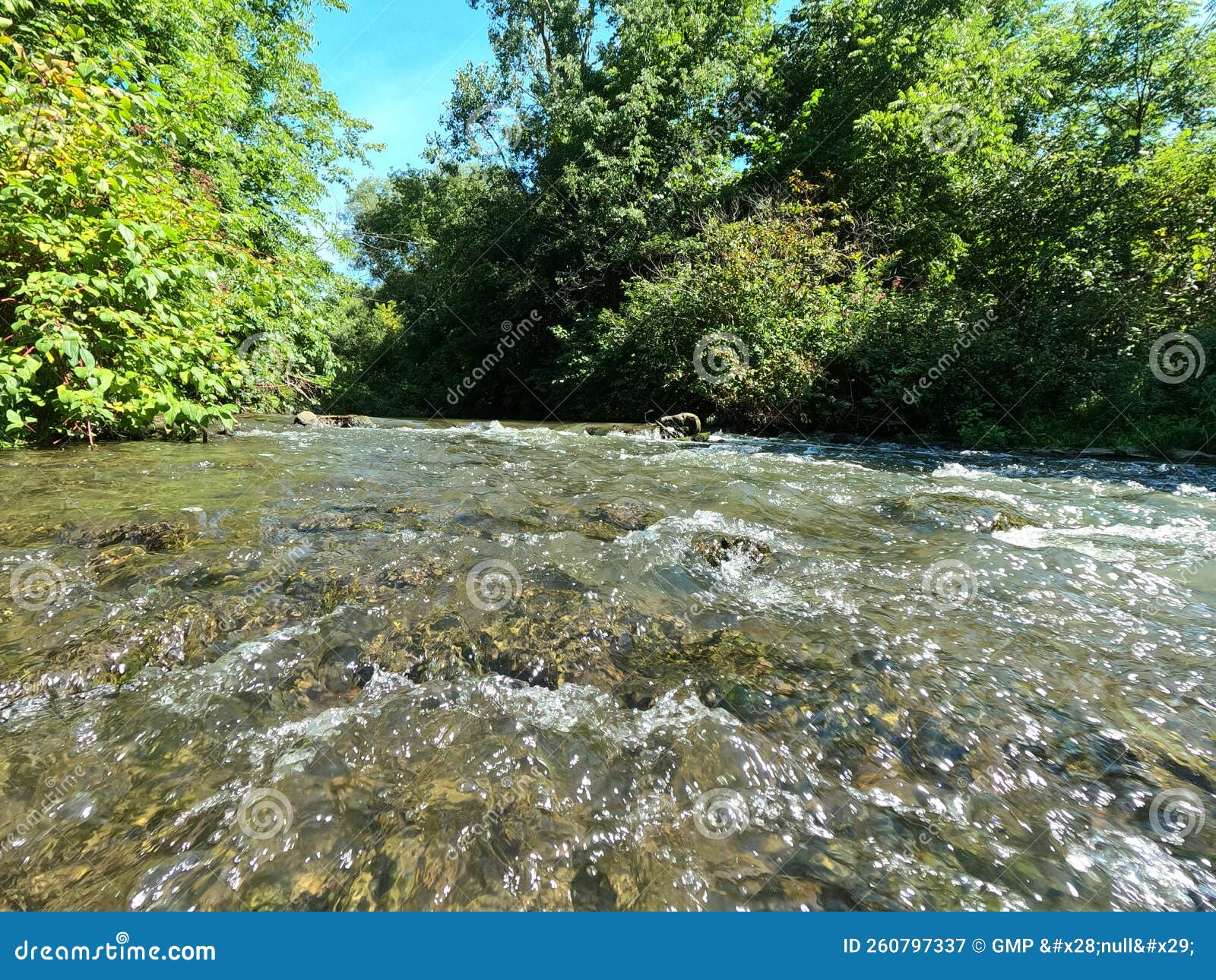 Woodstock Ontario Canada stock image. Image of nature 260797337