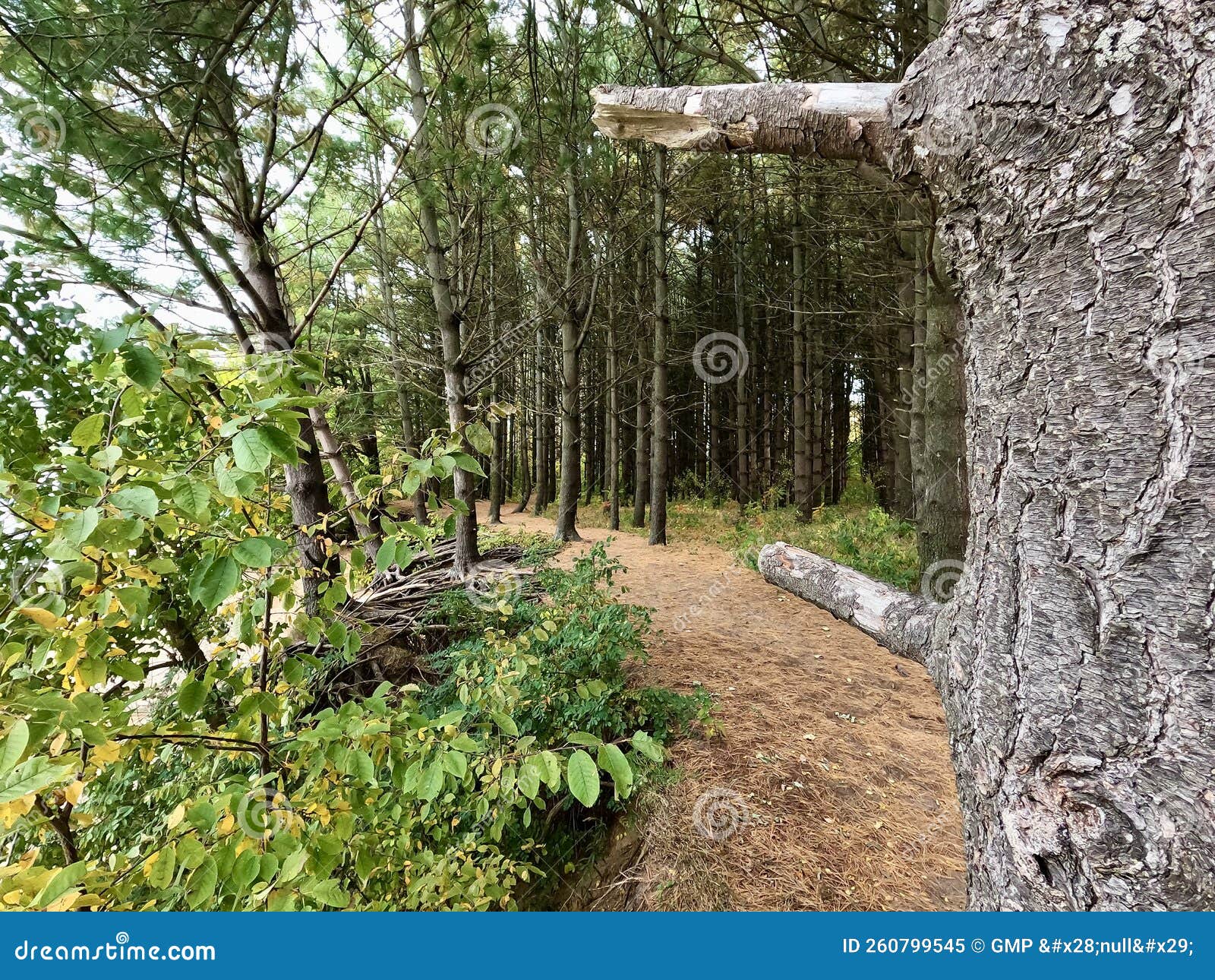 Woodstock Ontario canada stock image. Image of lake 260799545