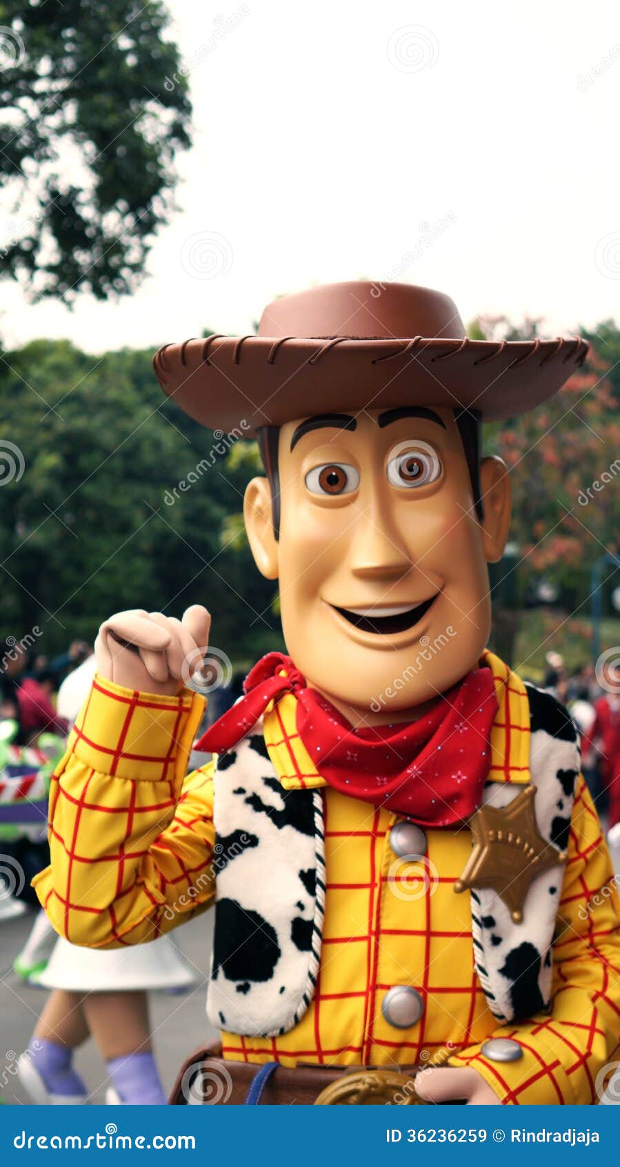 download woody cowboy download woody cowboy