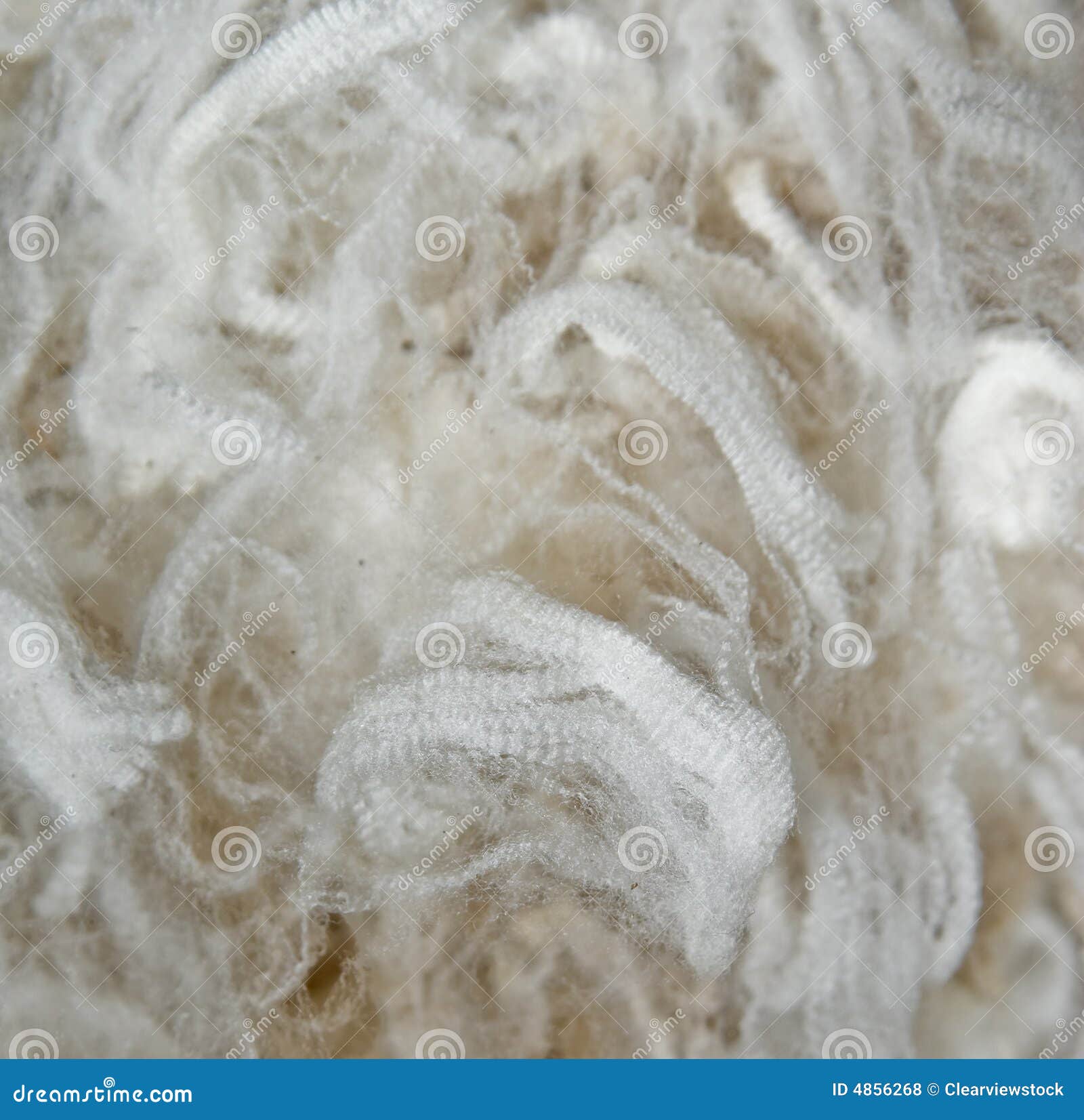 wool fleece background