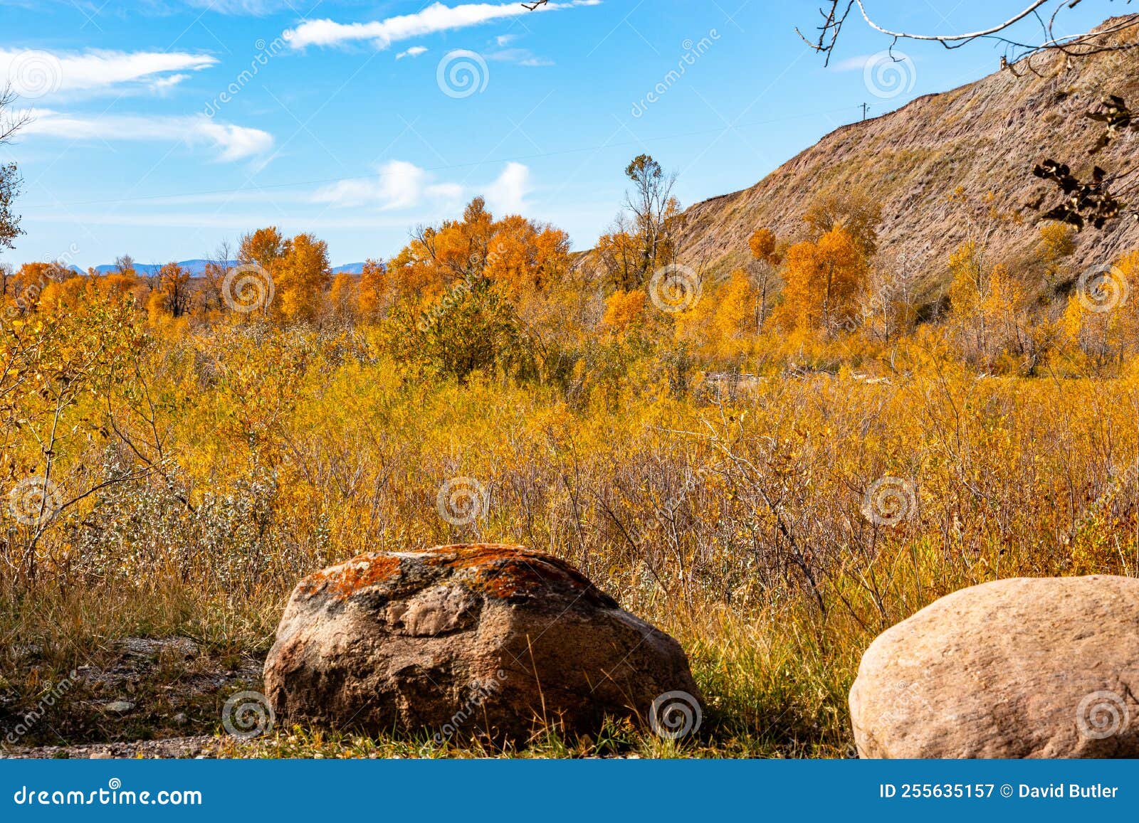 Woolford Provincial Park Cardston County Alberta Canada Stock Image Image of forests, snow
