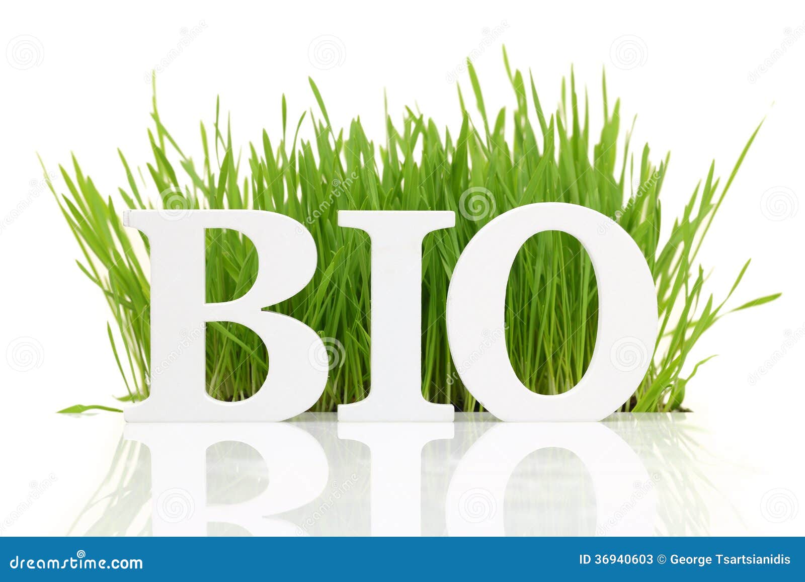 word bio with fresh grass