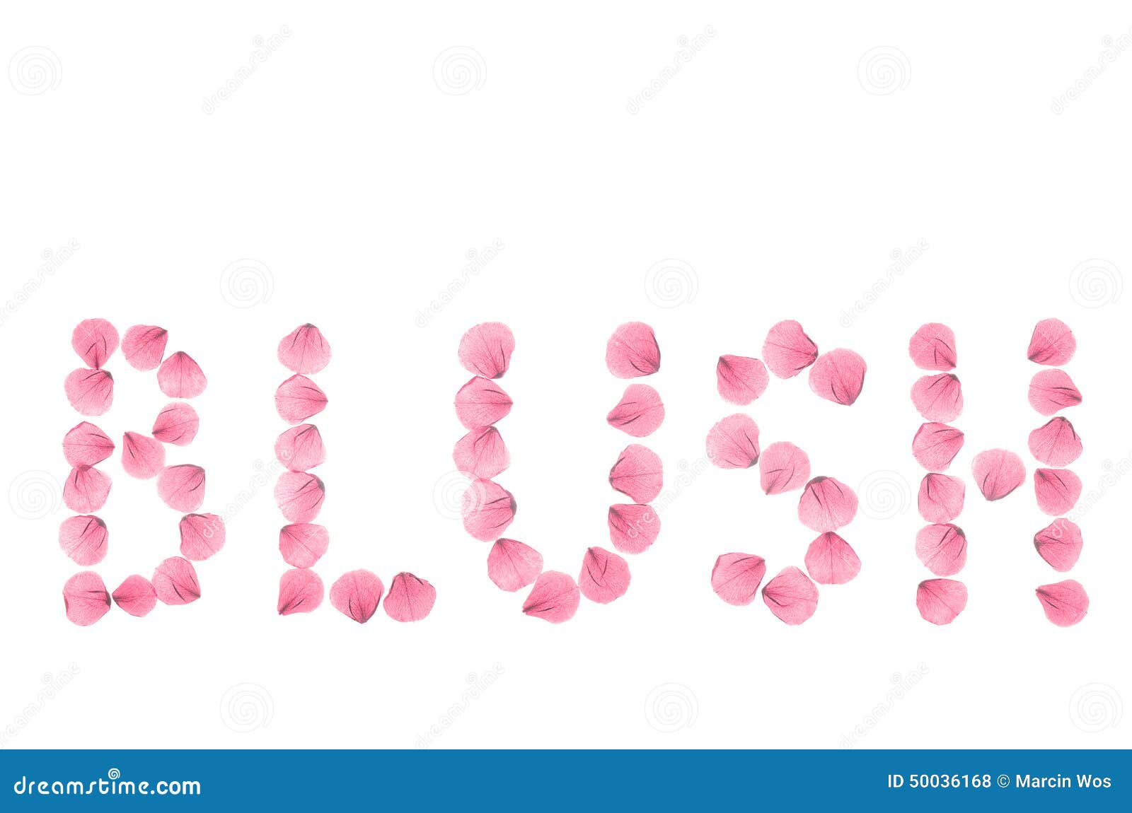 Word BLUSH Arranged from Real Dry Rose Petals. Stock Photo Image of