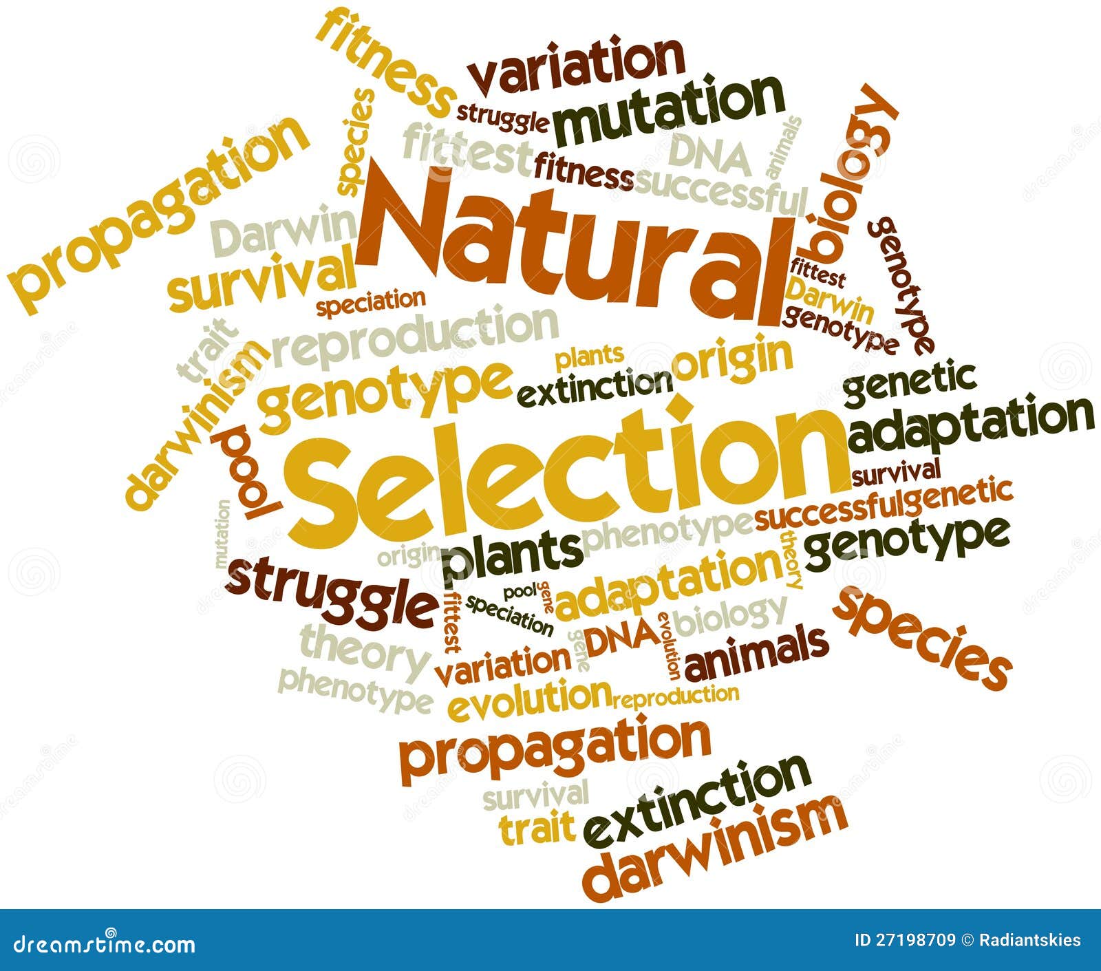 word cloud for natural selection