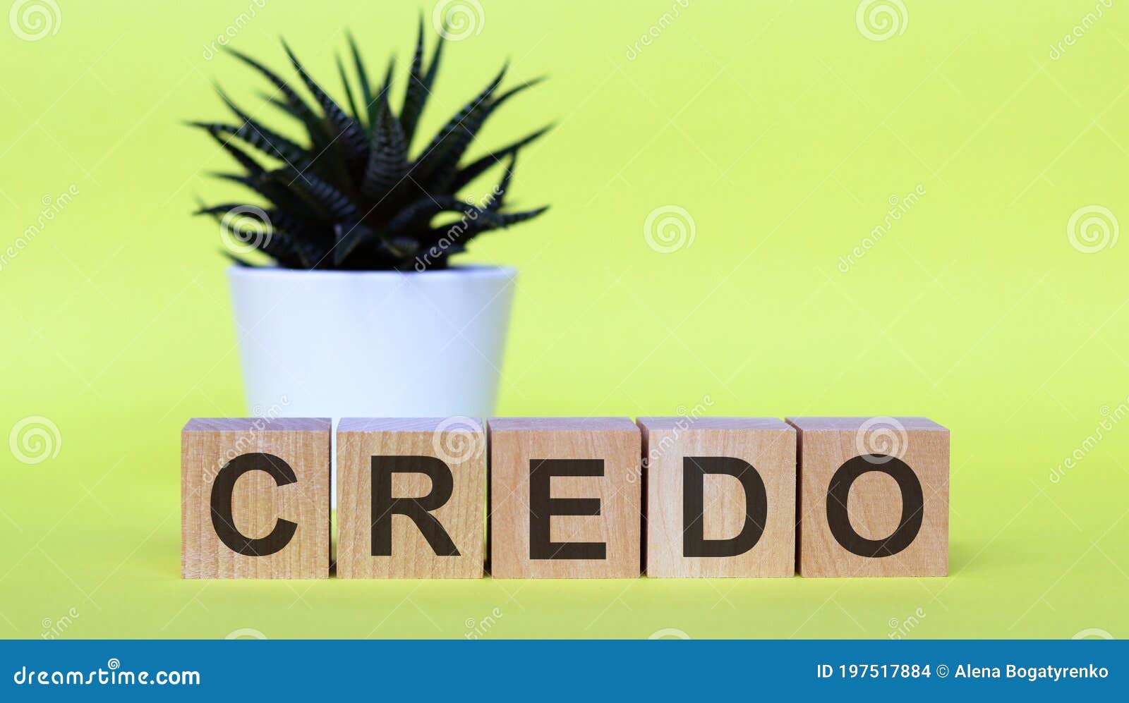 word credo. wooden small cubes with letters  on yellow background
