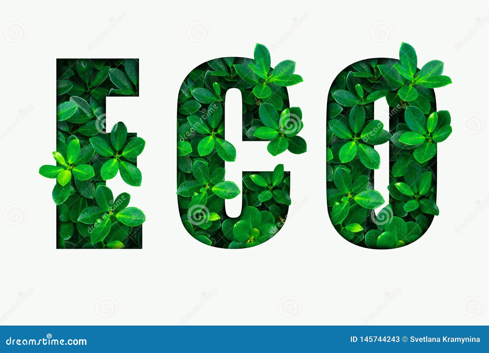 Word ECO from the Green Leaves Stock Image Image of natural, symbol