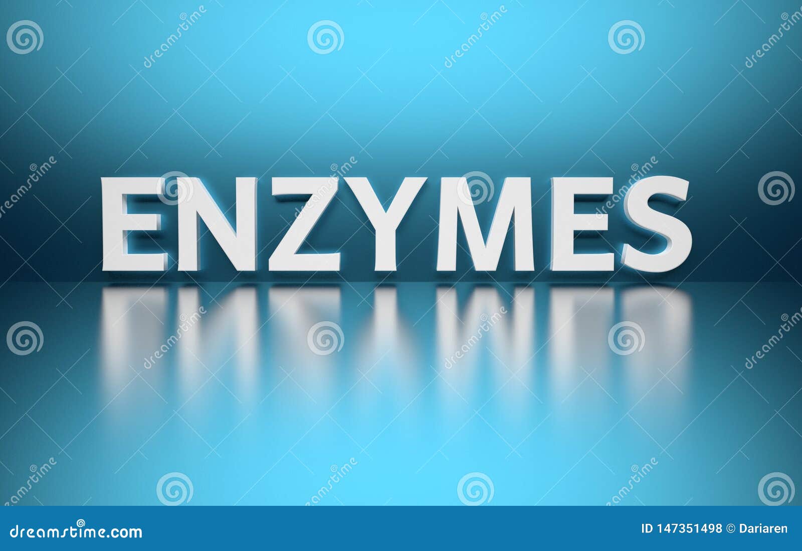 word enzymes