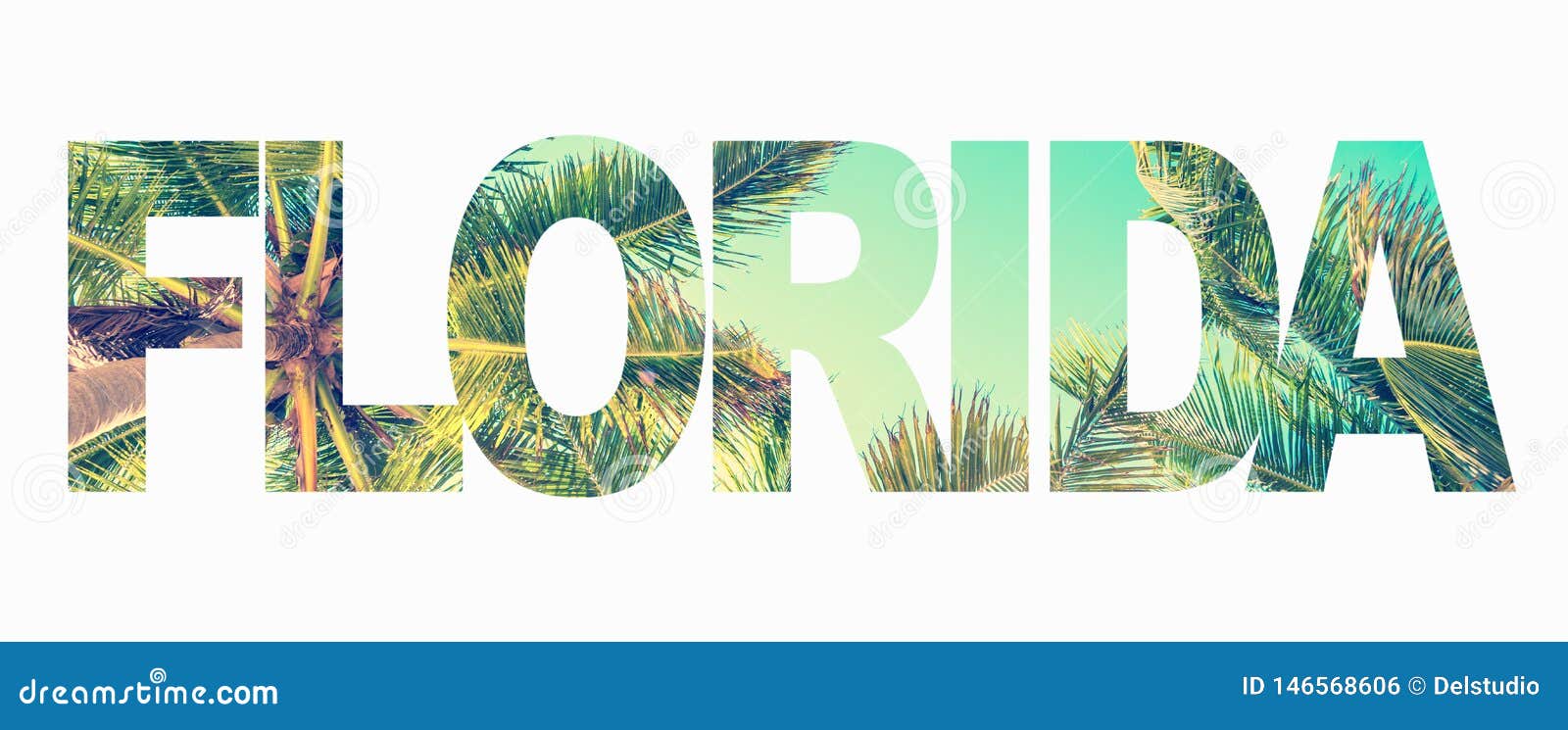 word florida with palm trees on white