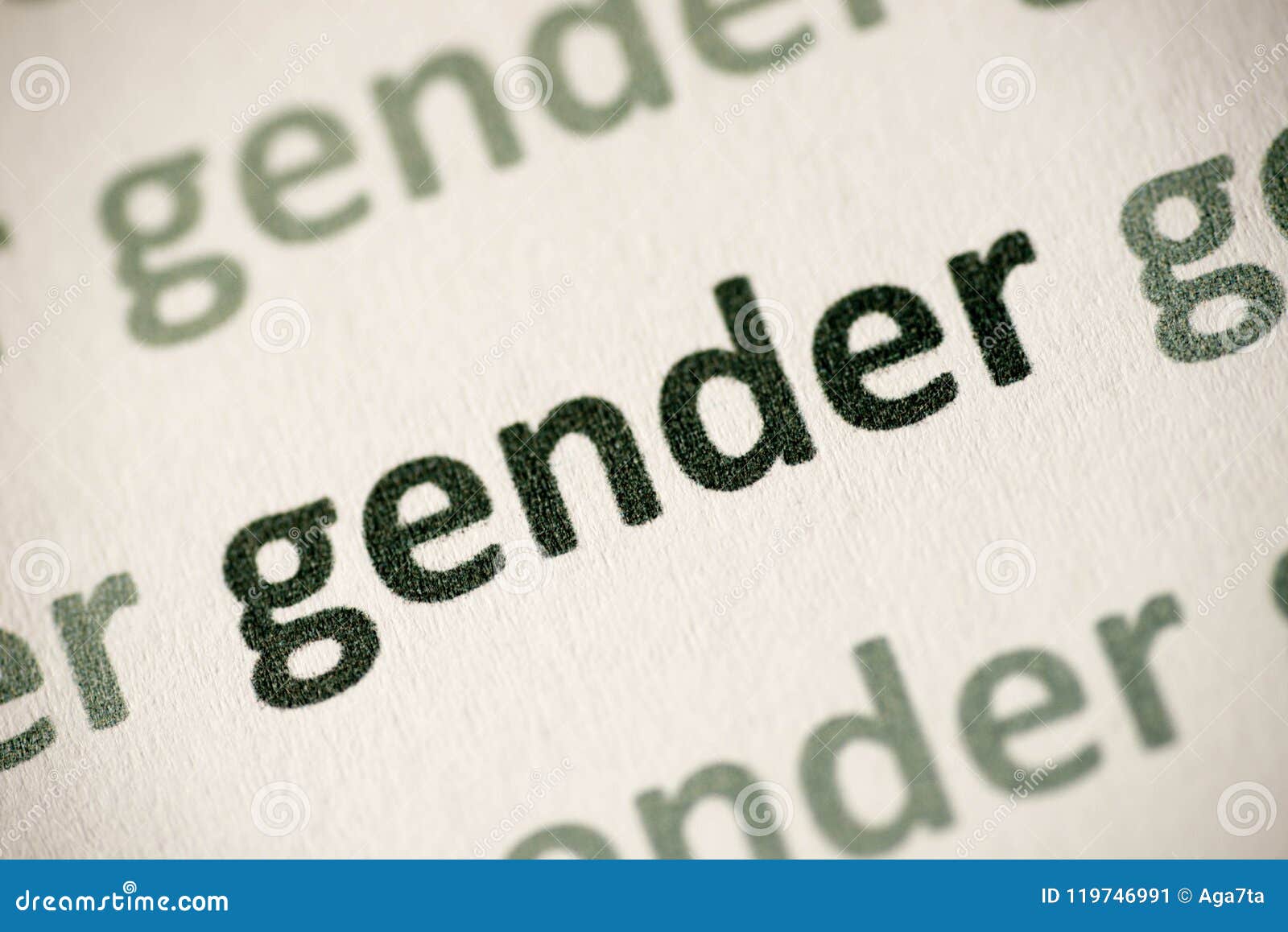 Английское слово пол. Words and Gender.