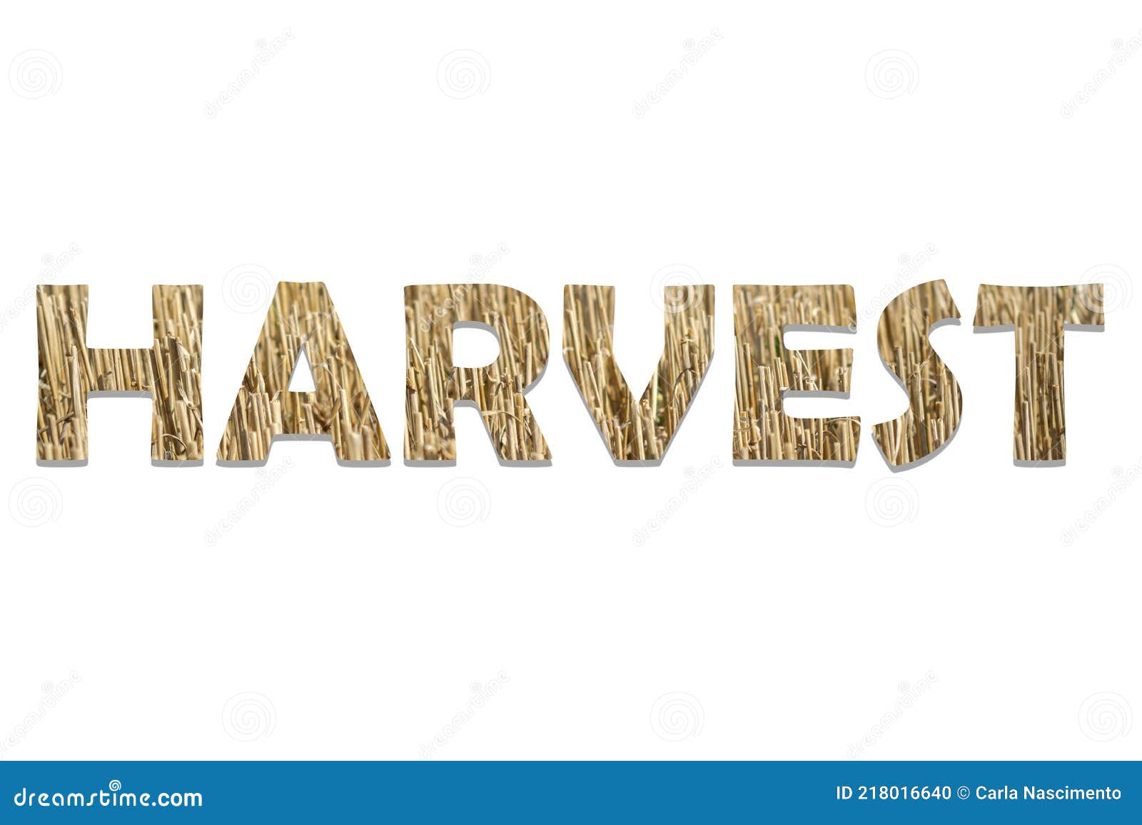 Word `Harvest` on White Background. Stock Illustration Illustration