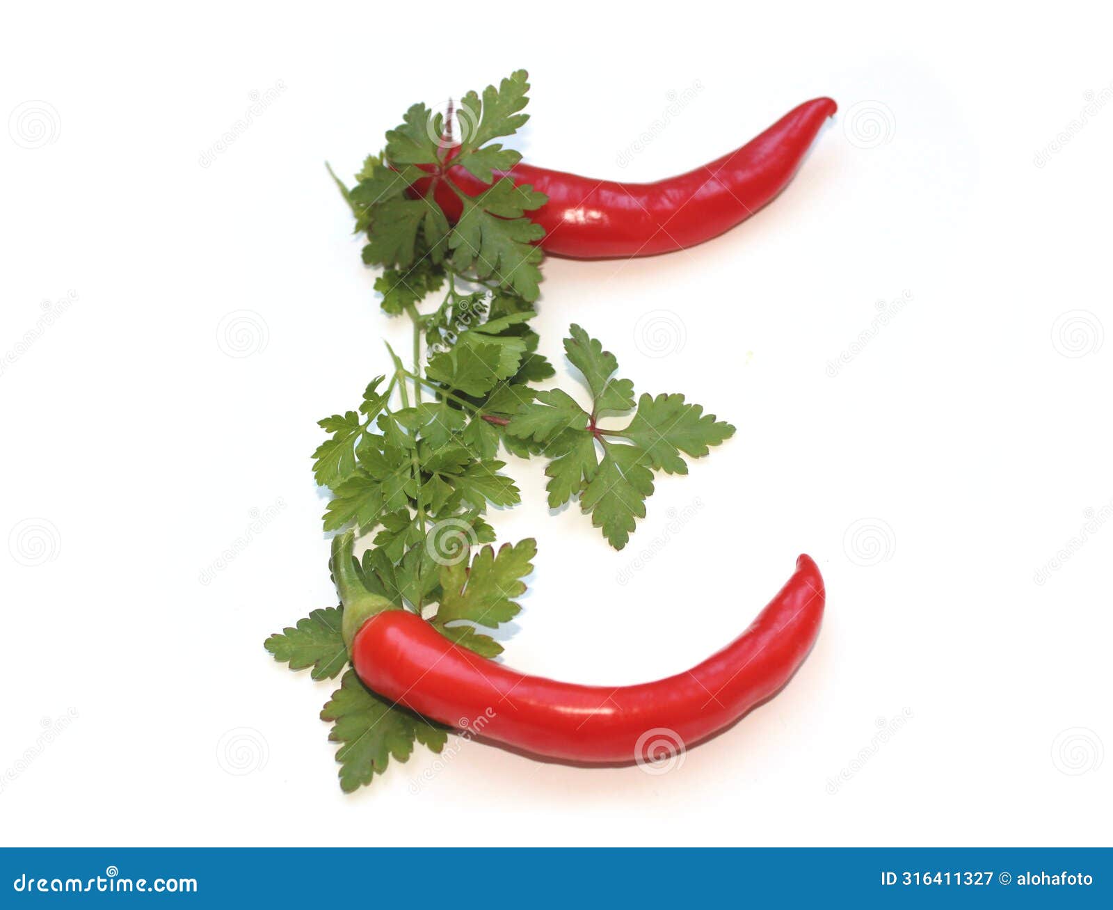 letter e from red chili pepper and green herbs, parsley letter for herb cook book, recipe