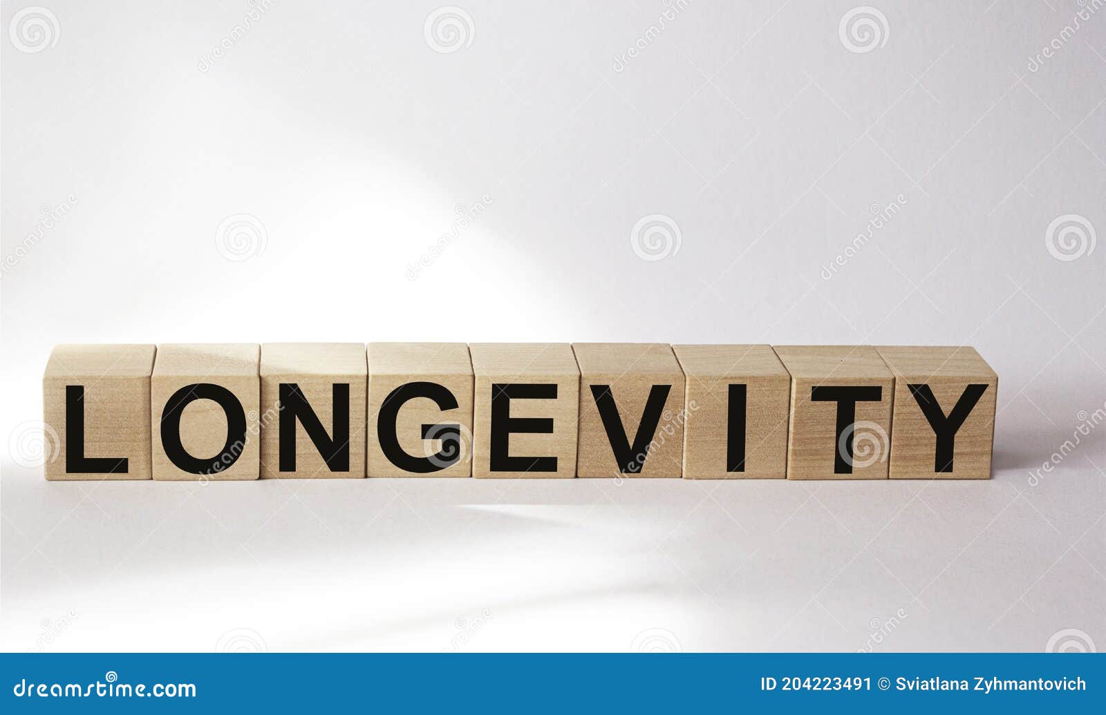 The Word Longevity on Sled on Wooden Blocks. Place for Text Stock Image