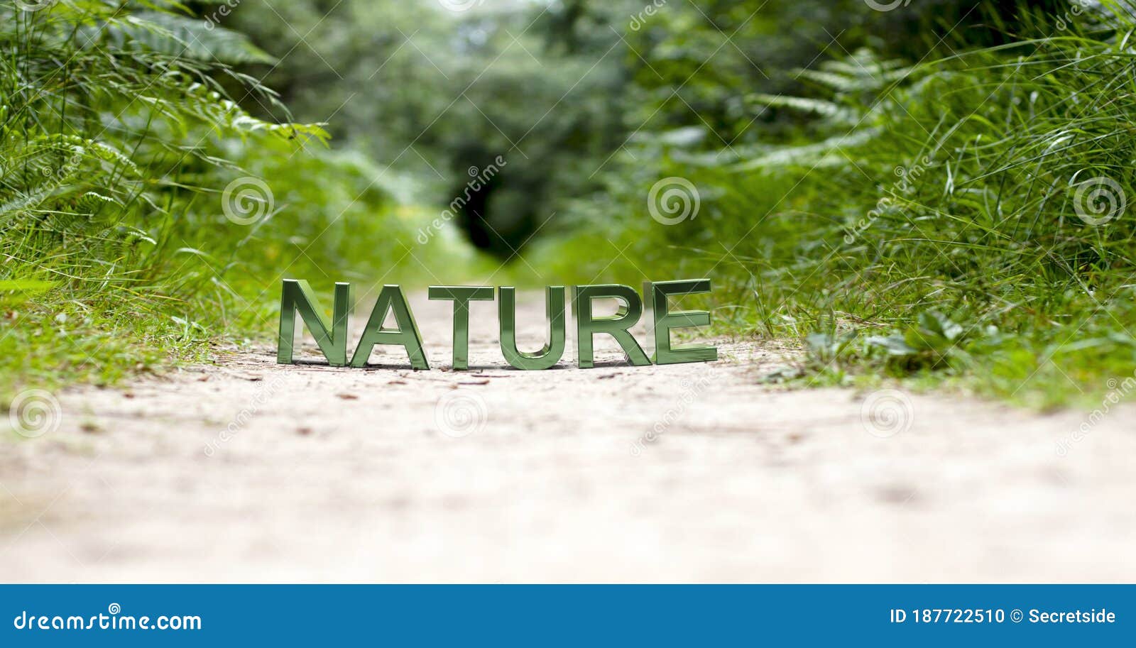 Word Nature Macro Photography on Forest Path 3D Rendering Stock