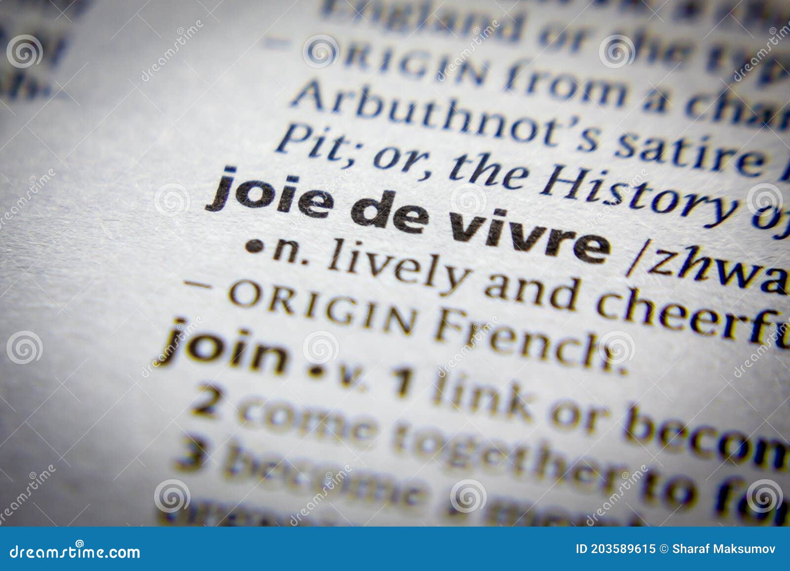 word or phrase joie de vivre in a dictionary.