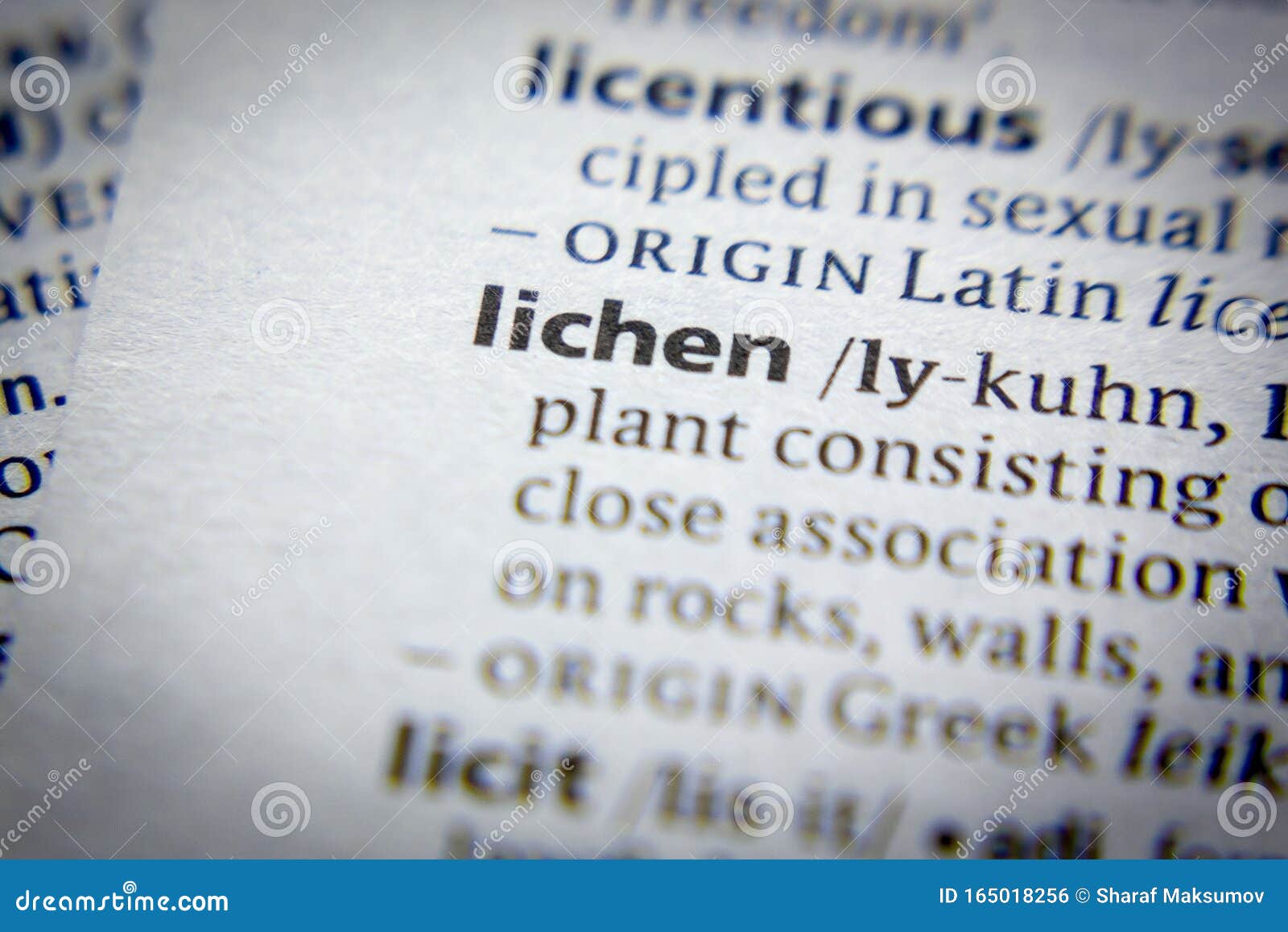 Word or Phrase Lichen in a Dictionary Stock Photo Image of definition