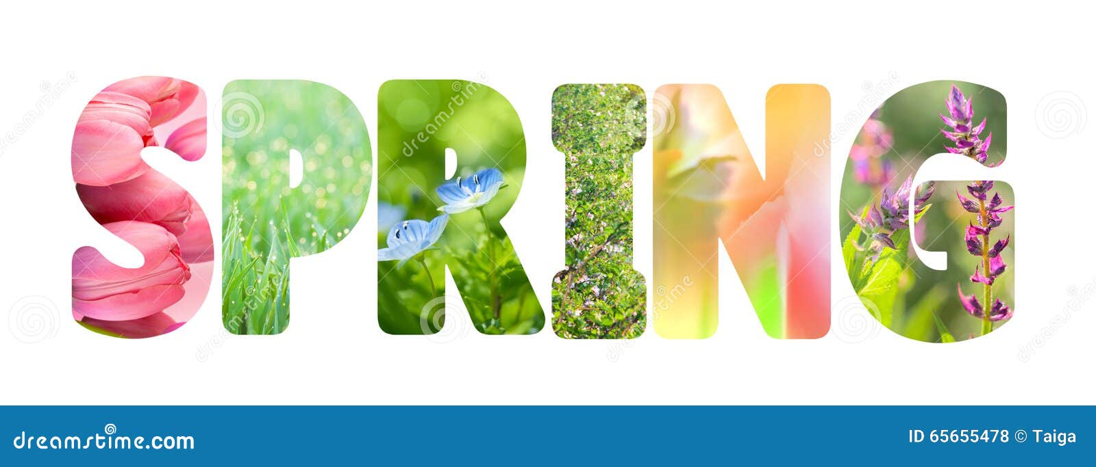 word spring with colorful nature photos inside the letters
