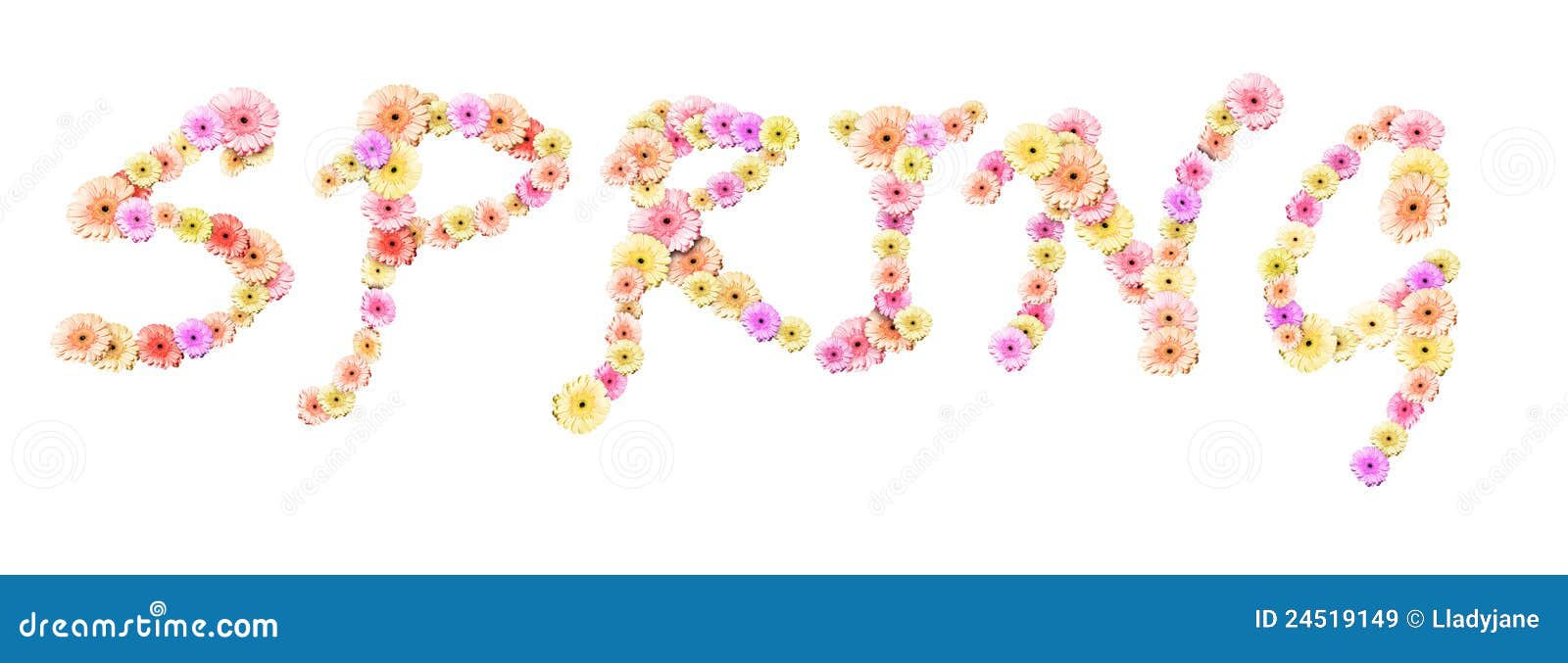 Word Spring Made of Flowers Isolated on White Stock Image Image of natural, organic 24519149