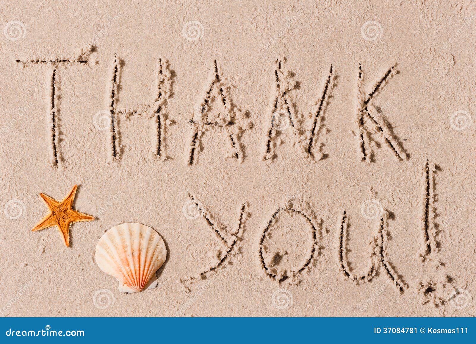 word of thank you to sand or seashells stock image image of thank you sand