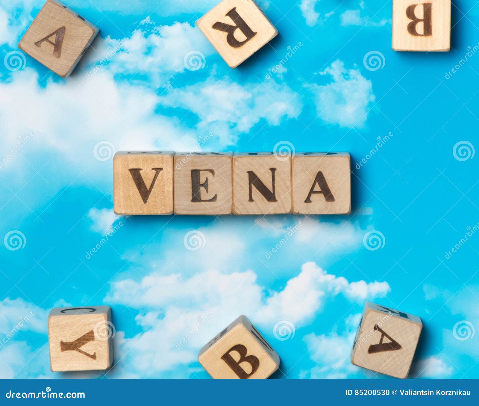 the word vena