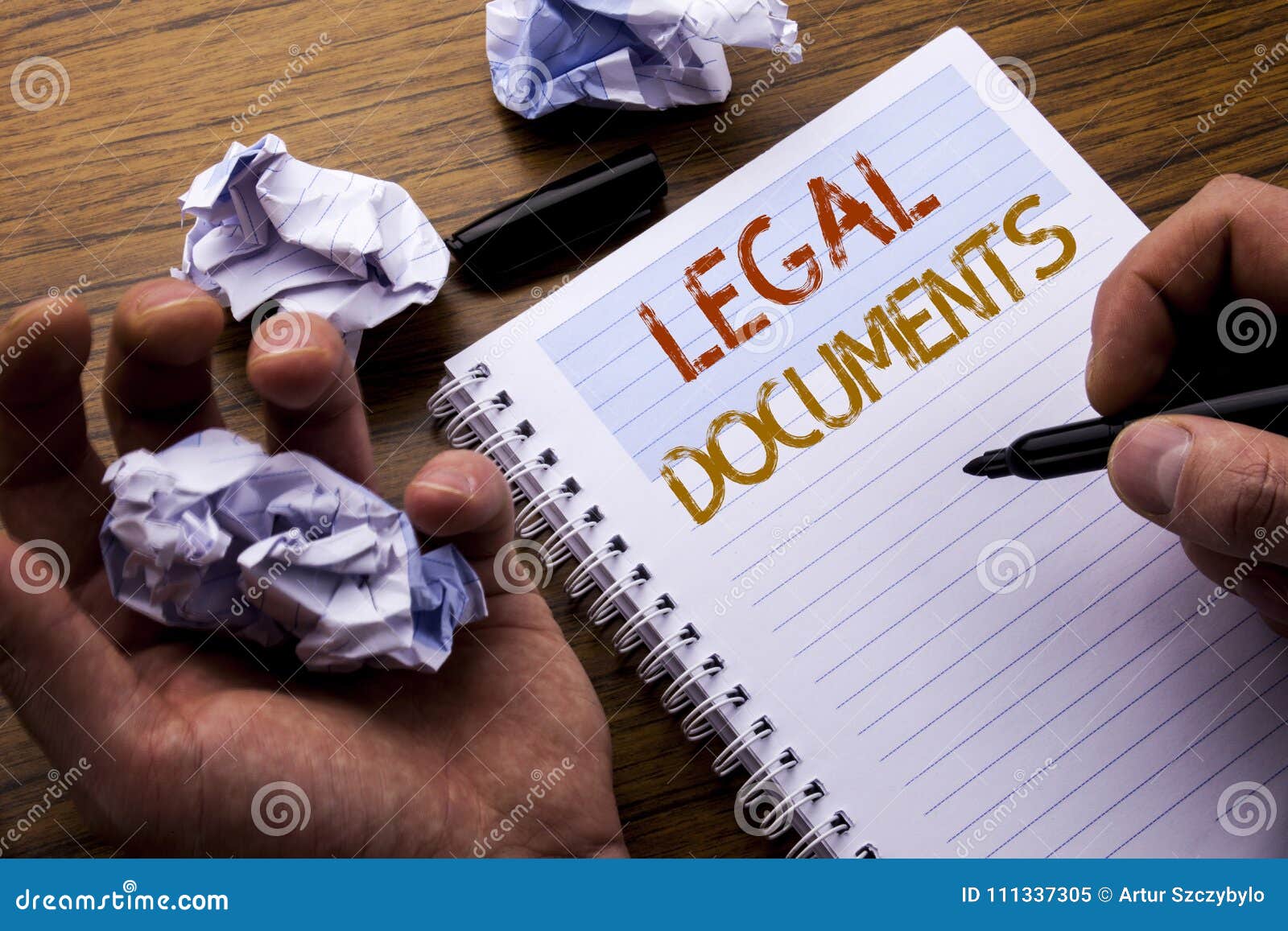 legal document writer legal document writer