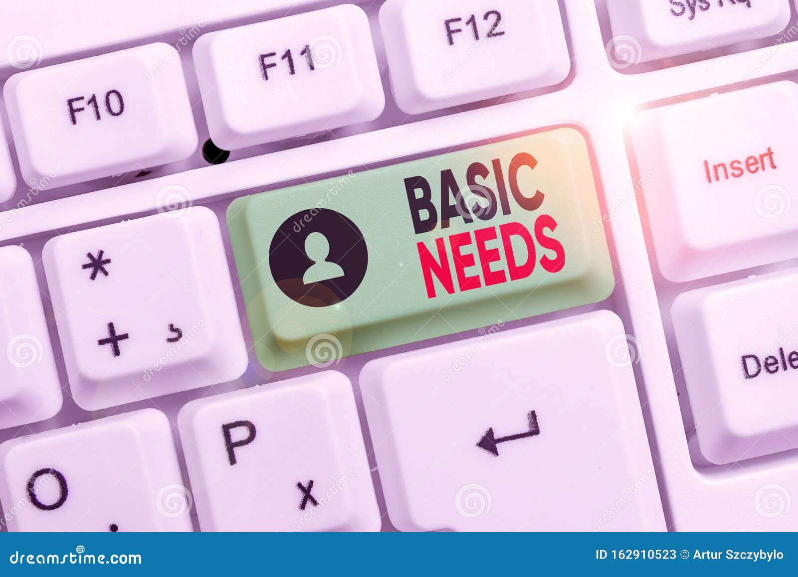 word writing text basic needs. business concept for something that you must have in order to sustain or live life white pc