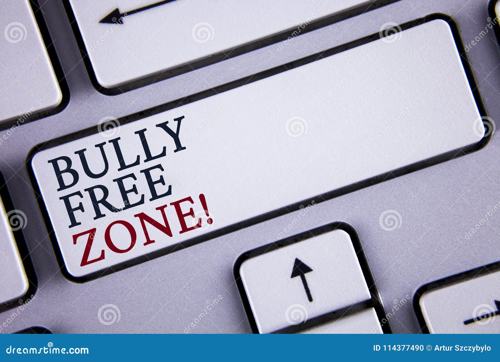 word writing text bully free zone motivational call. business concept for creating abuse free school college life written on white