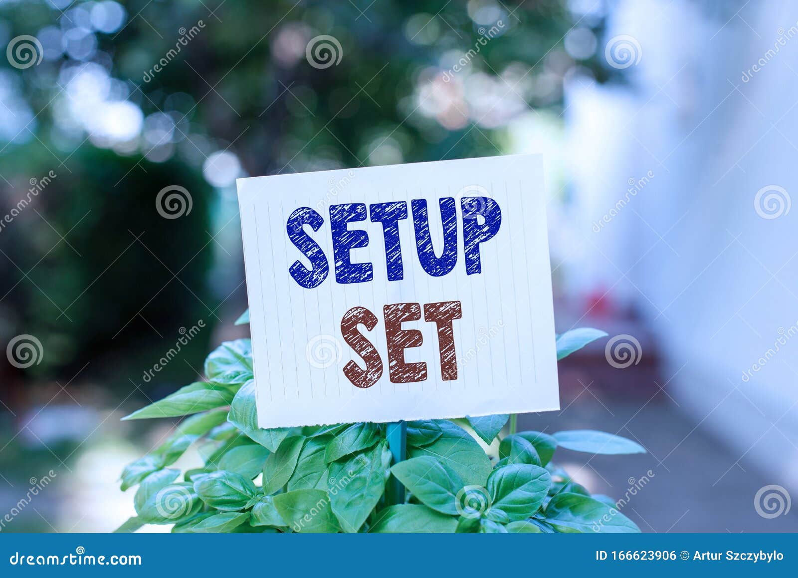 word writing text setup set. business concept for the analysisner, position, or direction in which something is set