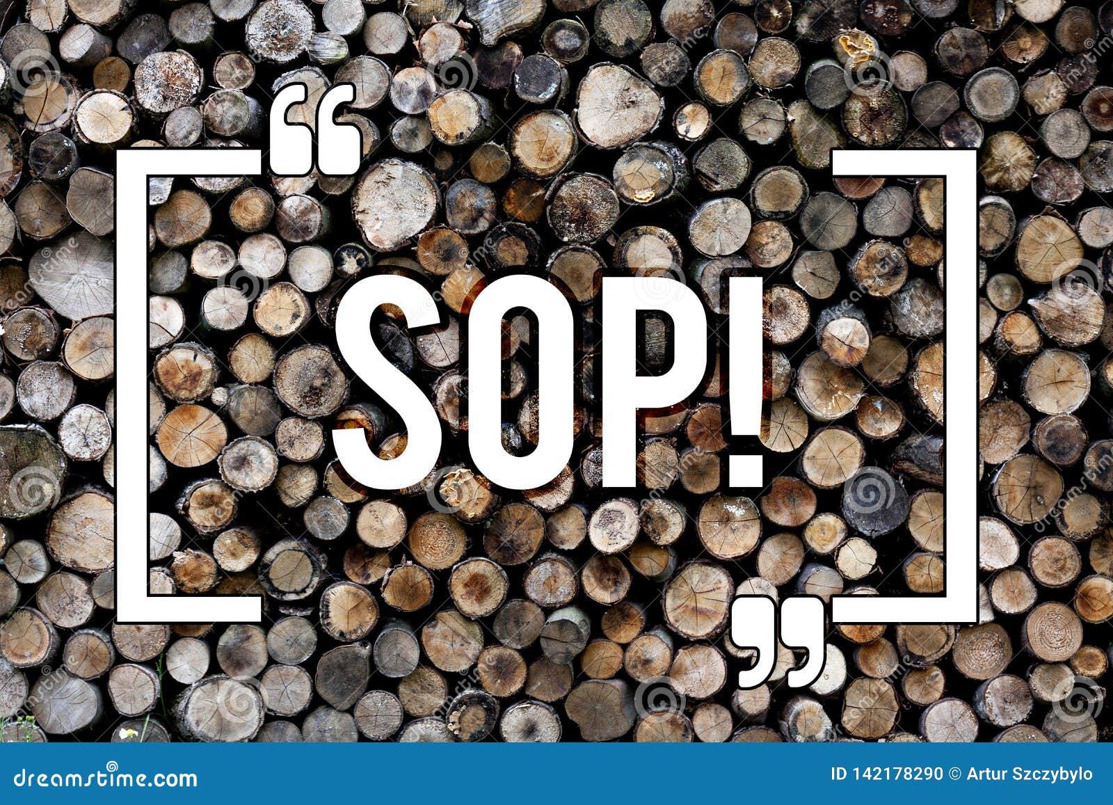 Sop Military Term