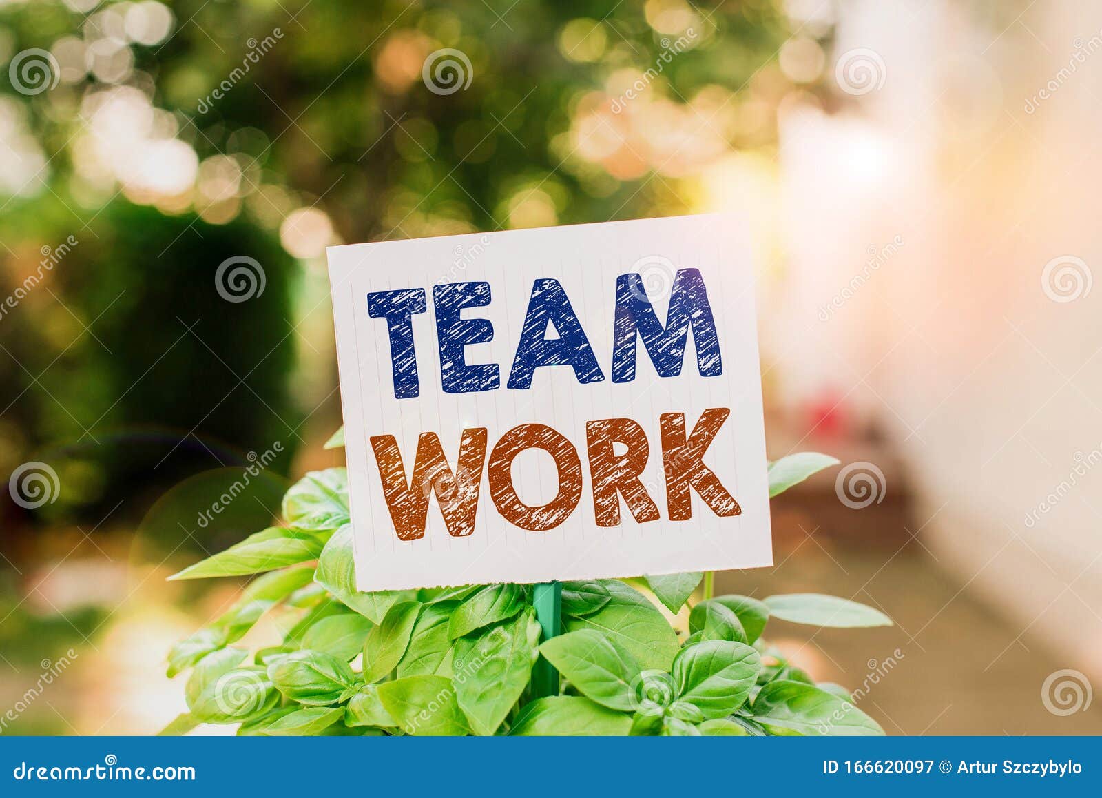 Word Writing Text Team Work. Business Concept for Combined Action of a